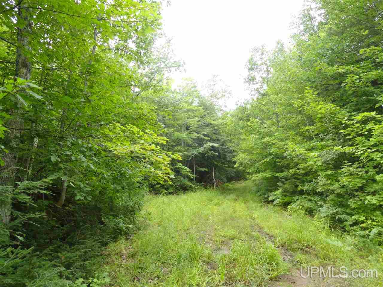 Land Listing MLS Number 50141224