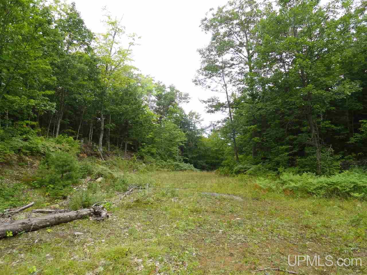 MLS 50141224 Large photo number 2 