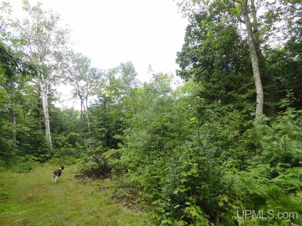 MLS 50141224 Large photo number 11 