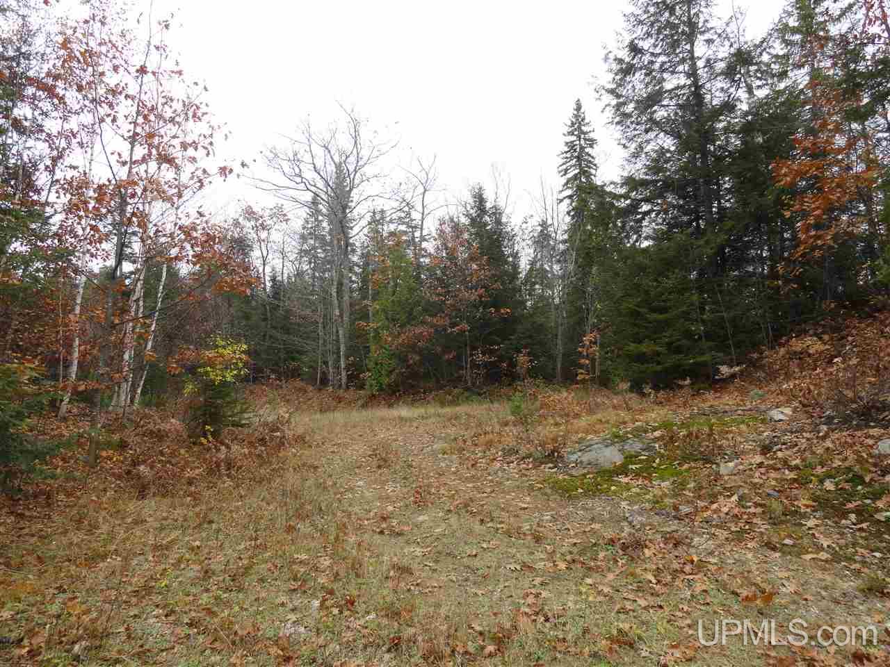MLS 50141224 Large photo number 12 