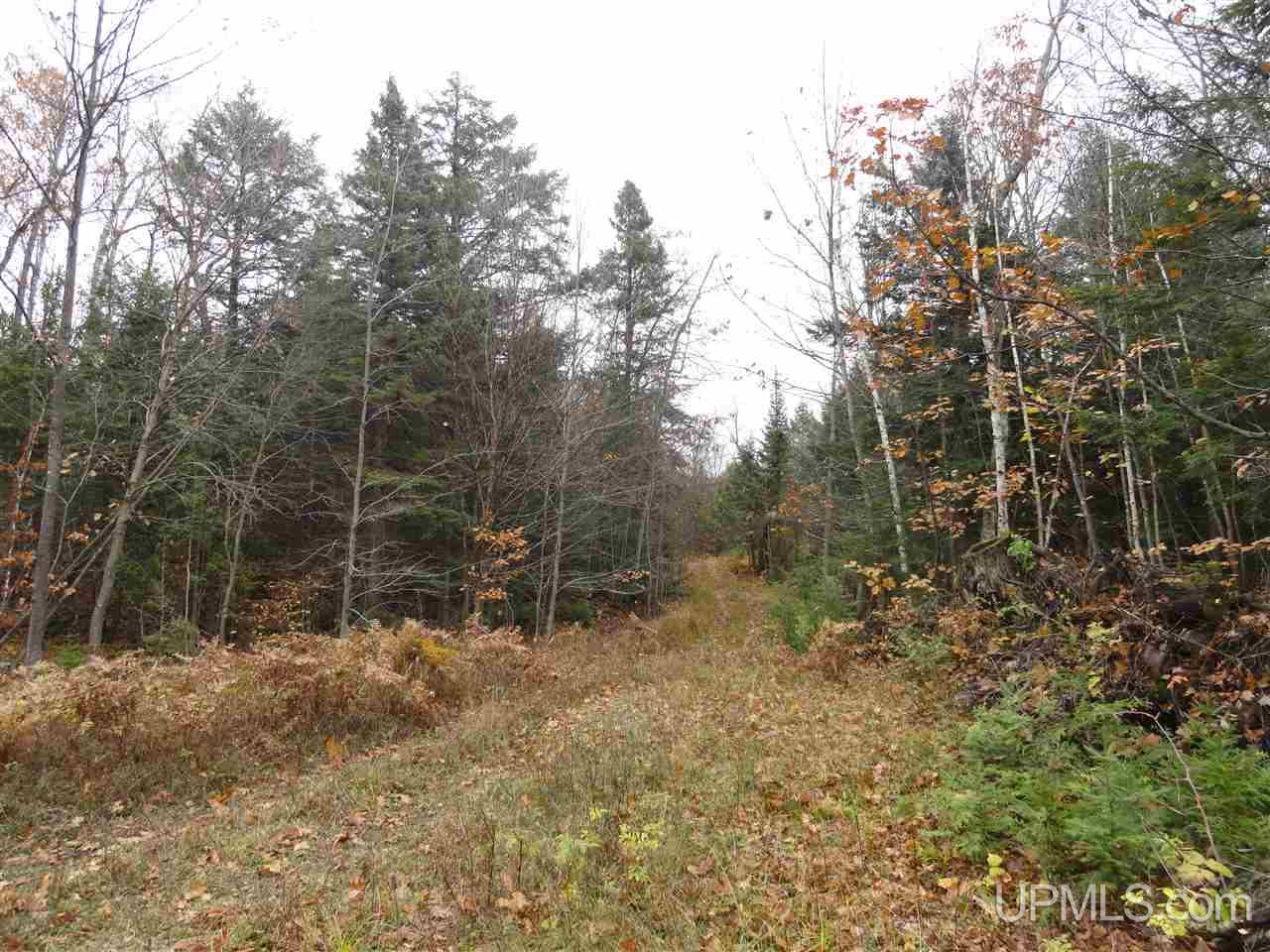 MLS 50141224 Large photo number 13 