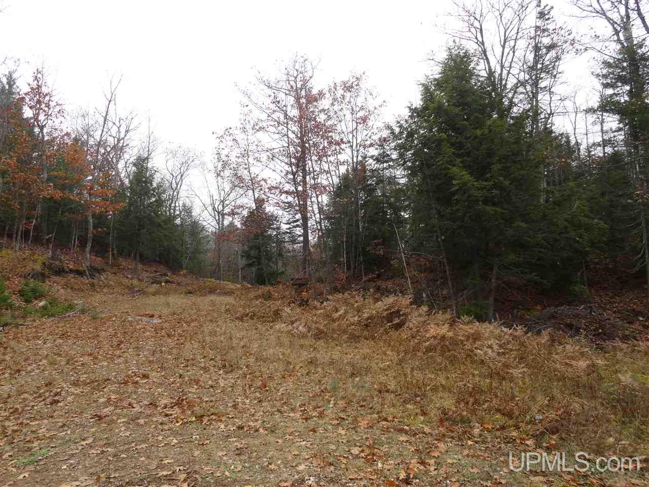 MLS 50141224 Large photo number 14 