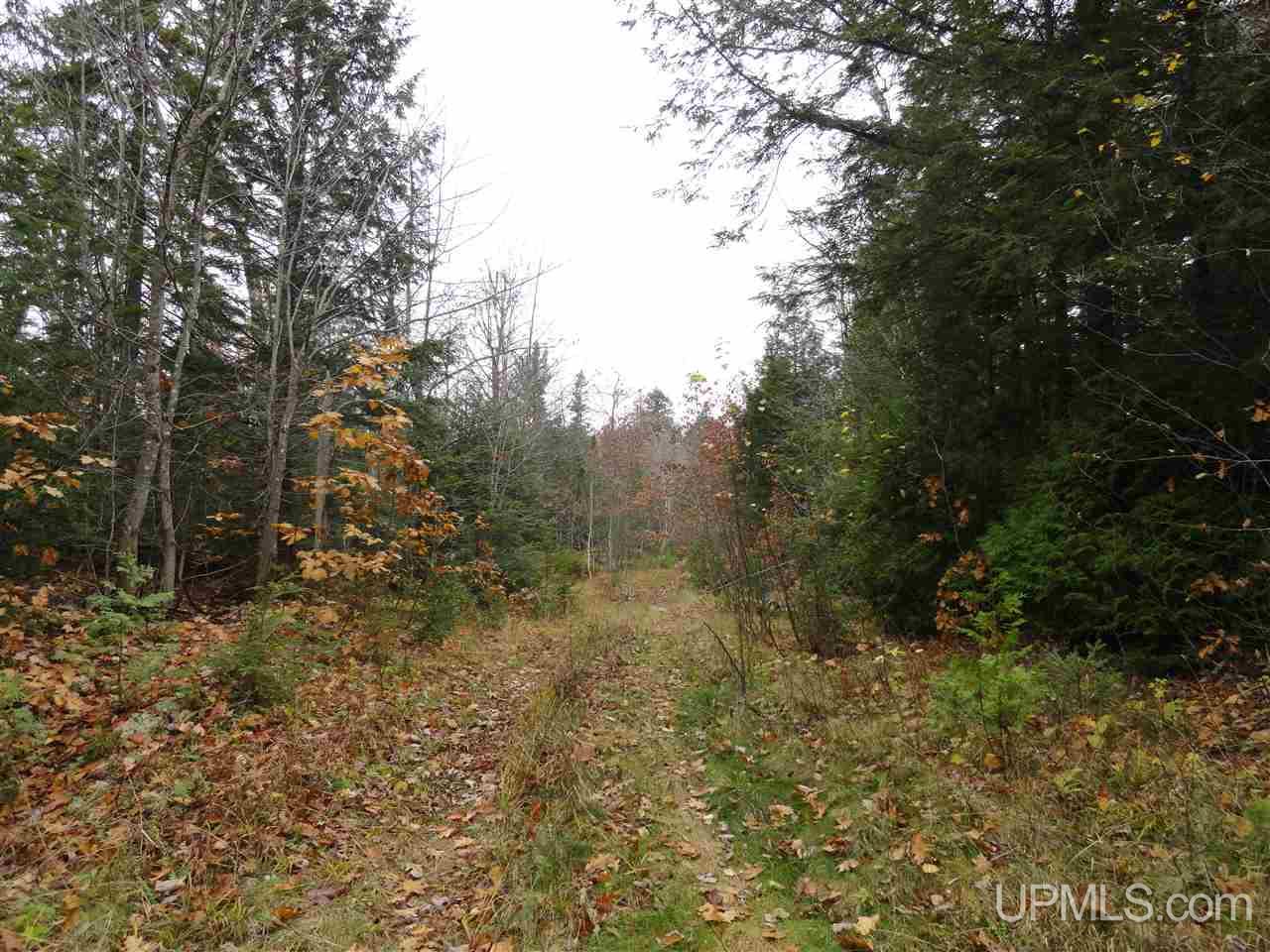 MLS 50141224 Large photo number 16 