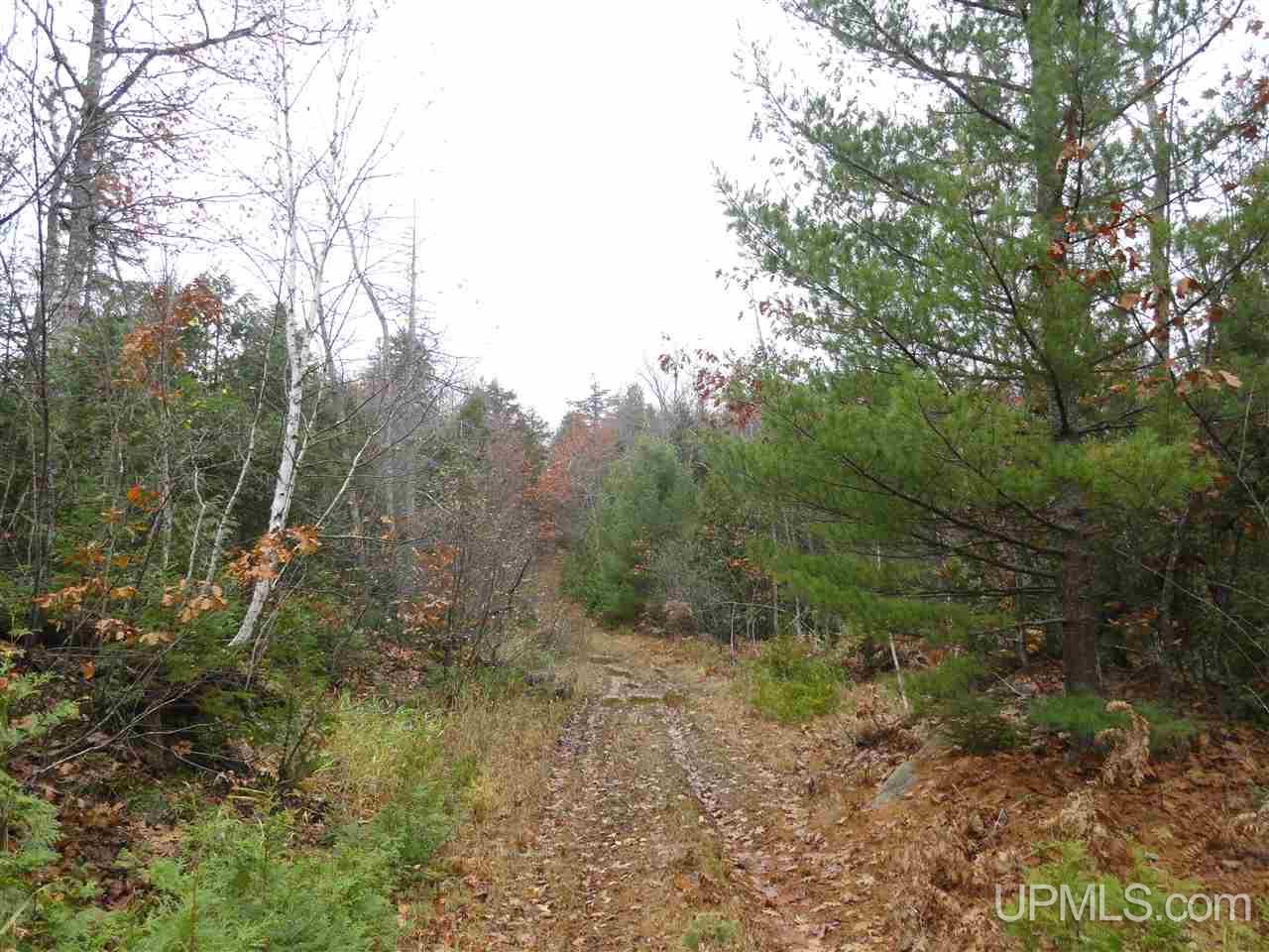 MLS 50141224 Large photo number 18 