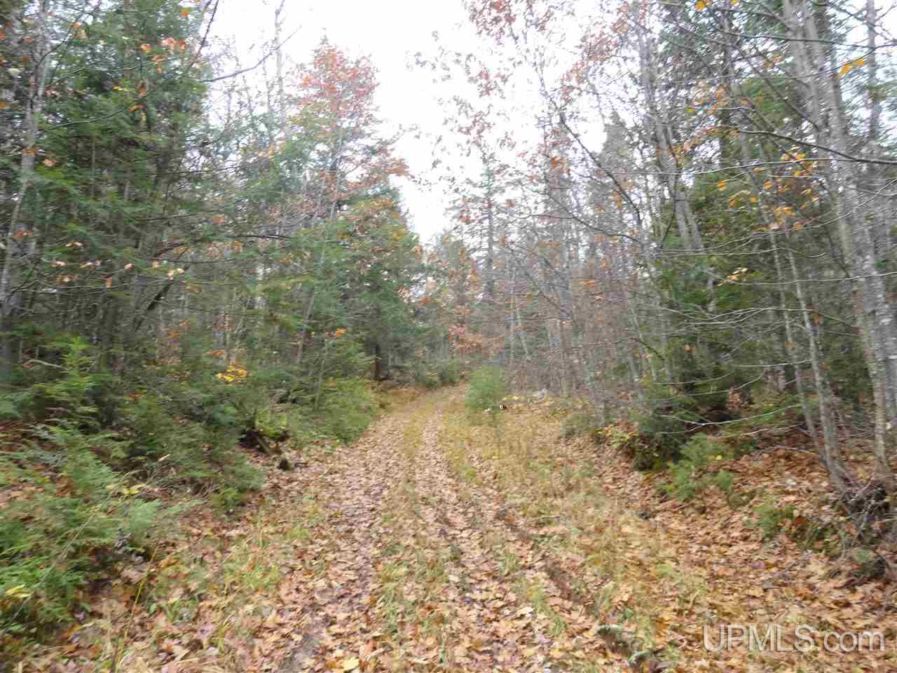 MLS 50141224 Large photo number 19 