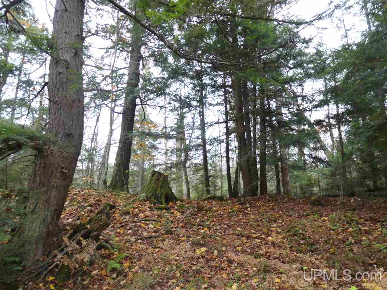 MLS 50141224 Large photo number 20 