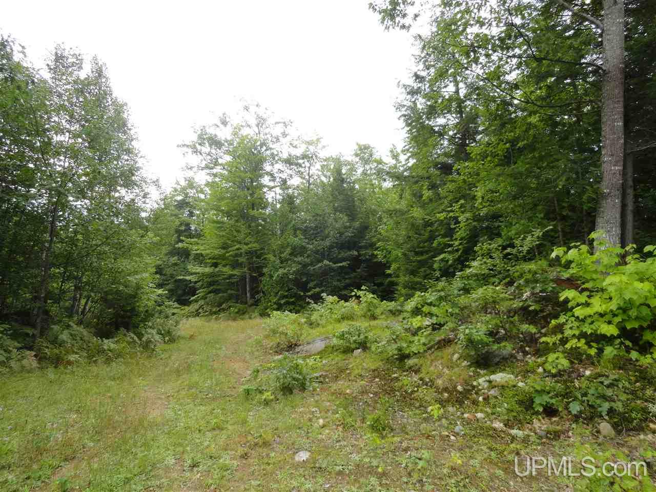 MLS 50141224 Large photo number 3 