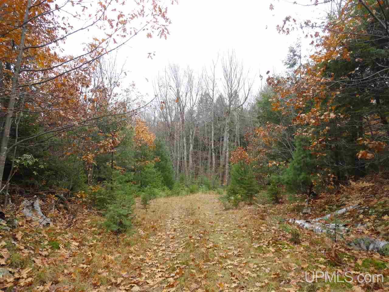 MLS 50141224 Large photo number 21 