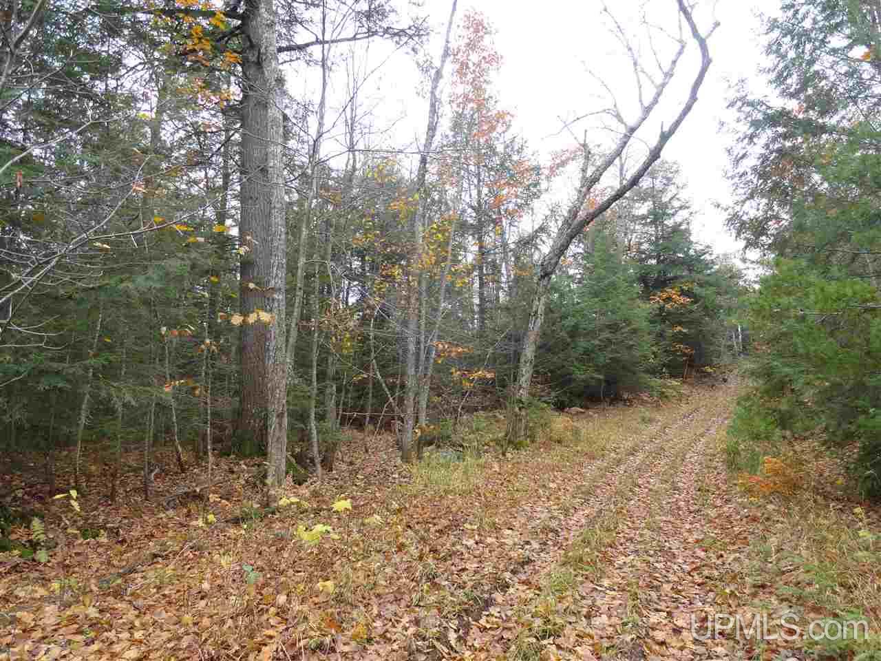 MLS 50141224 Large photo number 22 