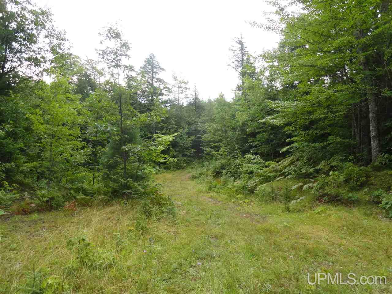 MLS 50141224 Large photo number 4 