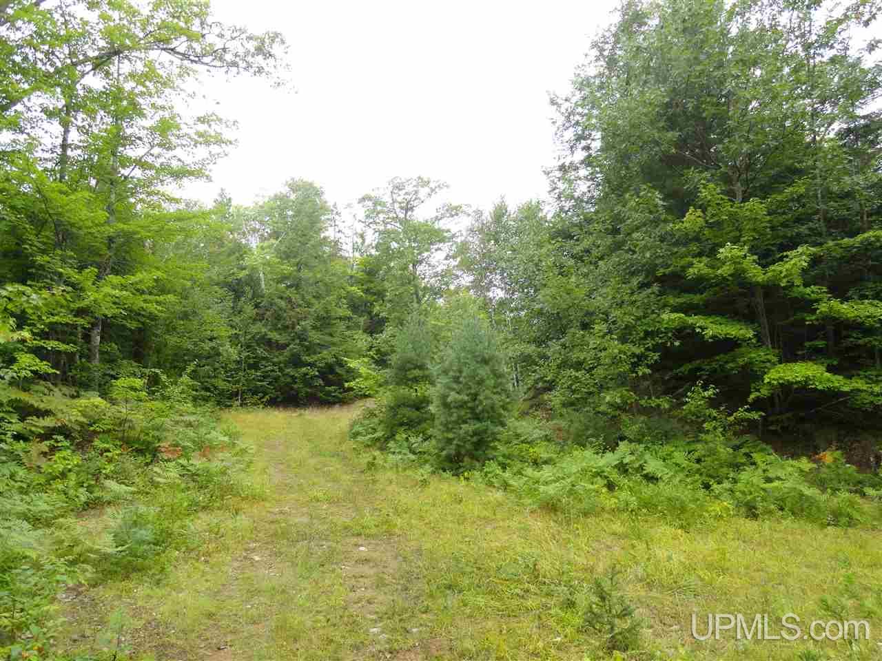 MLS 50141224 Large photo number 5 