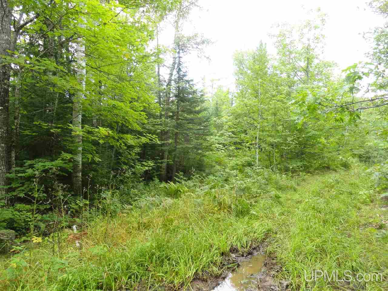 MLS 50141224 Large photo number 6 