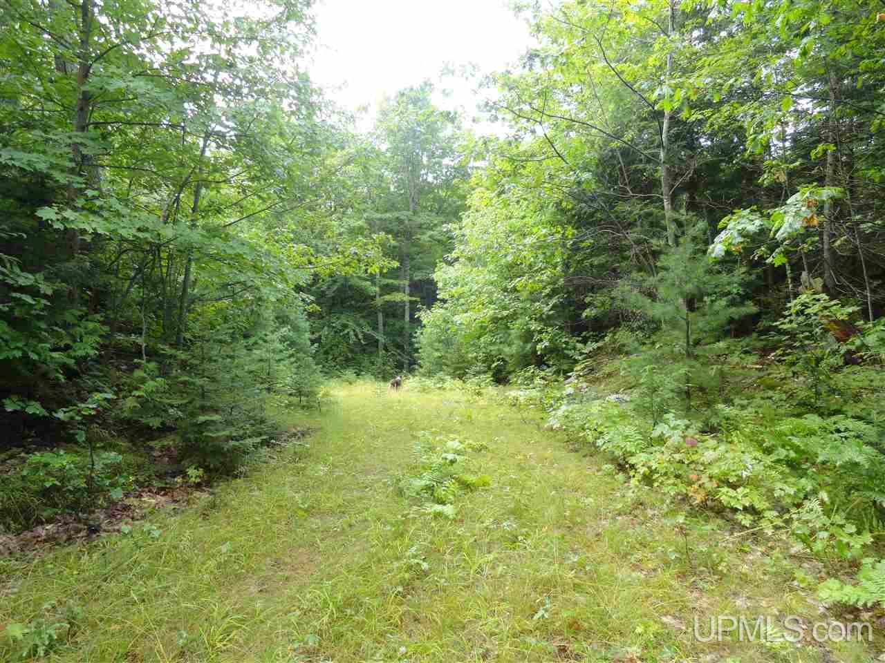 MLS 50141224 Large photo number 9 