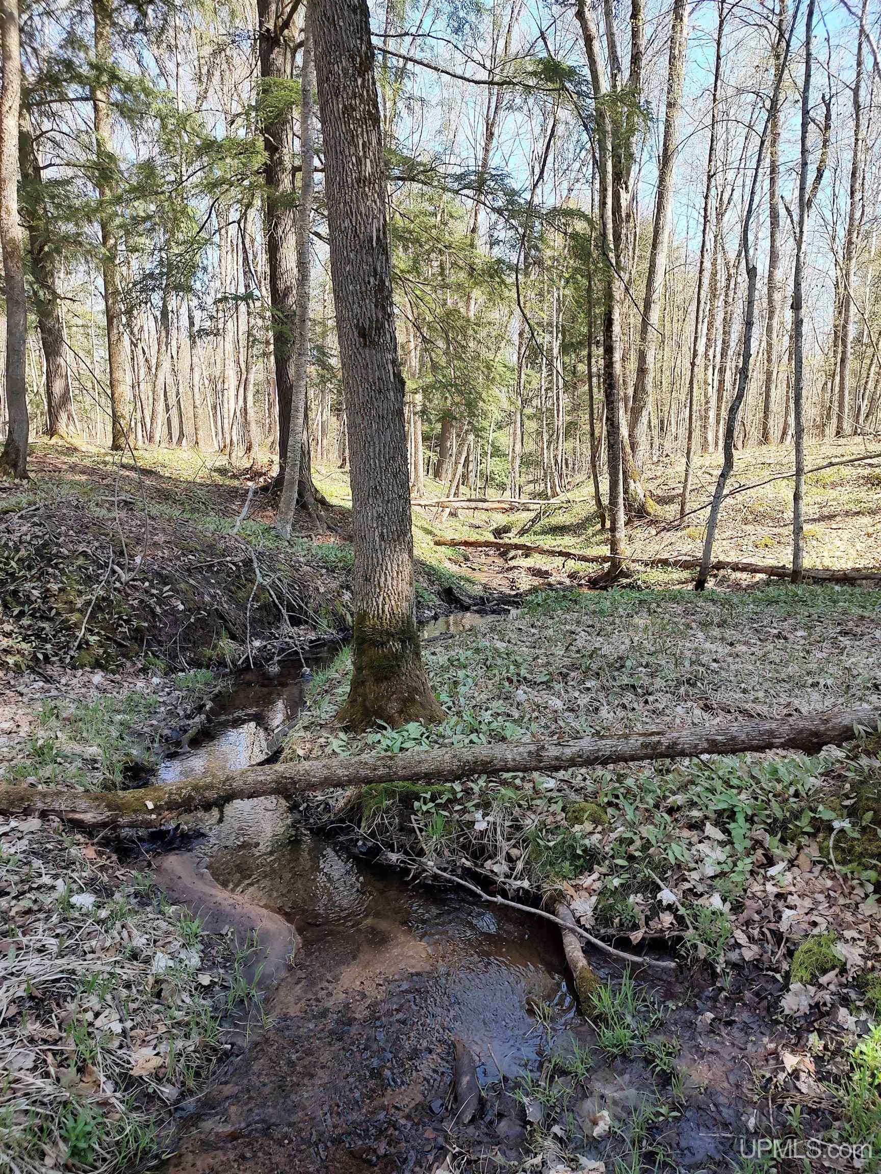 MLS 50141767 Large photo number 2 
