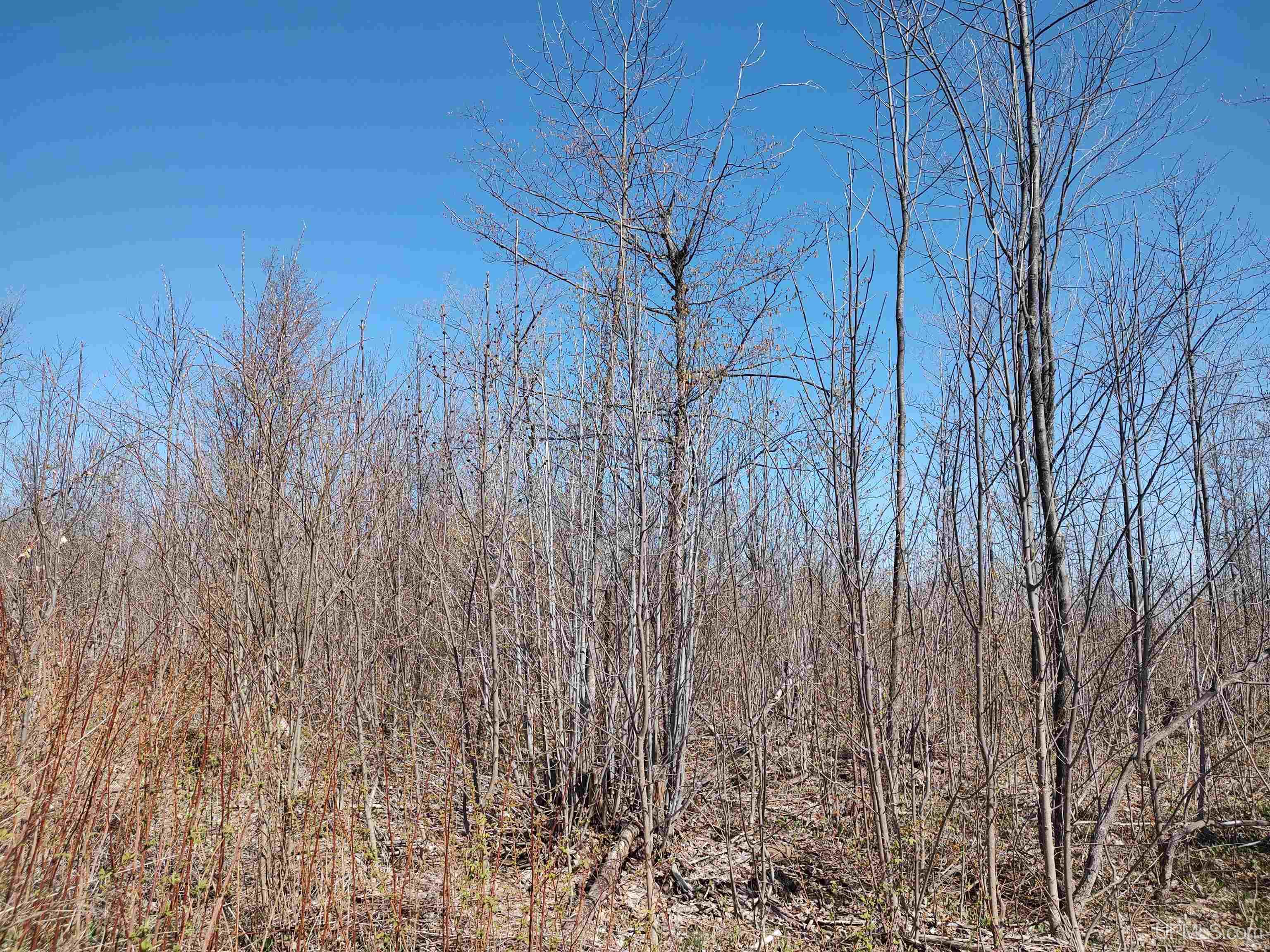 MLS 50141767 Large photo number 15 