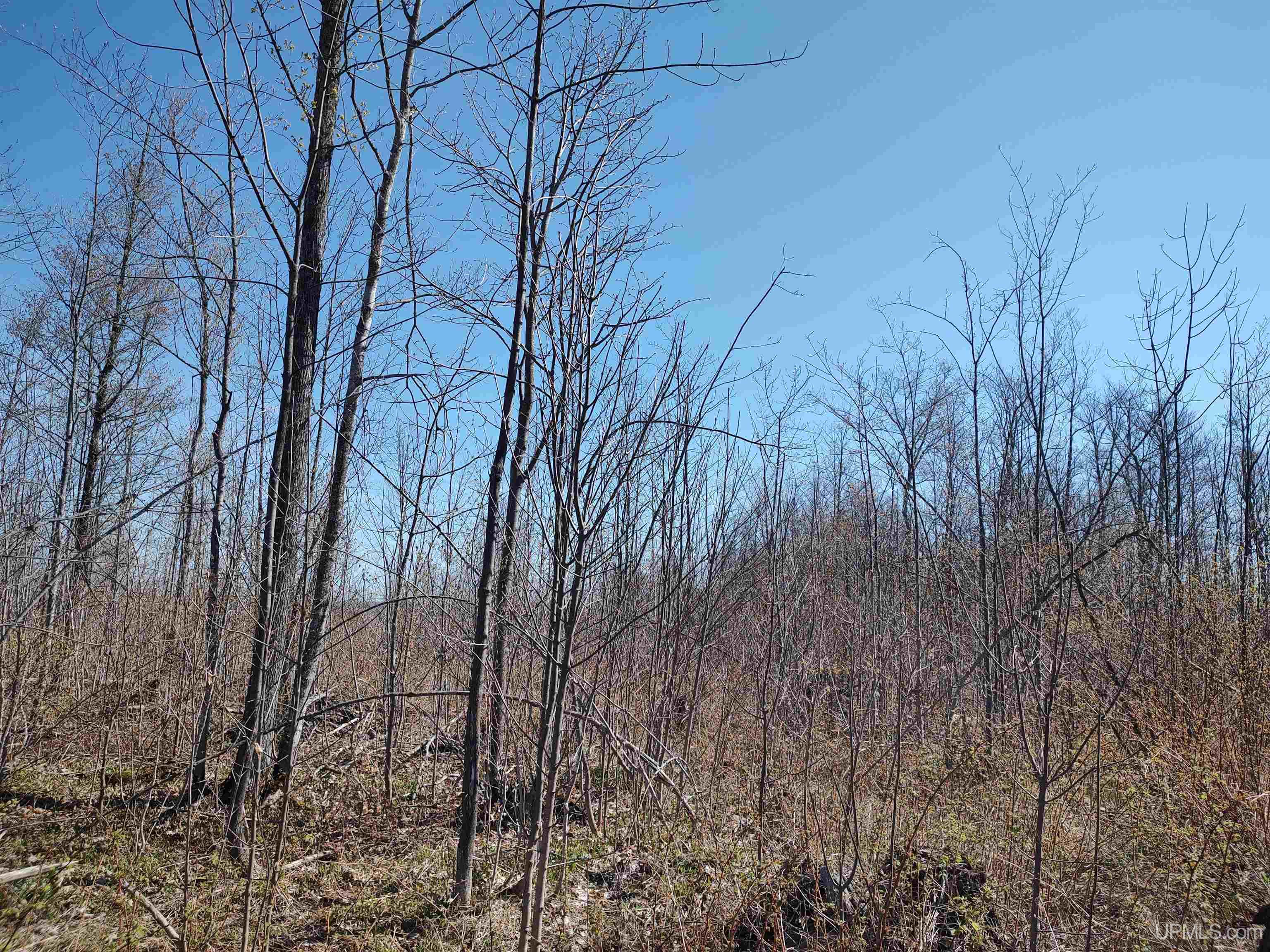 MLS 50141767 Large photo number 16 