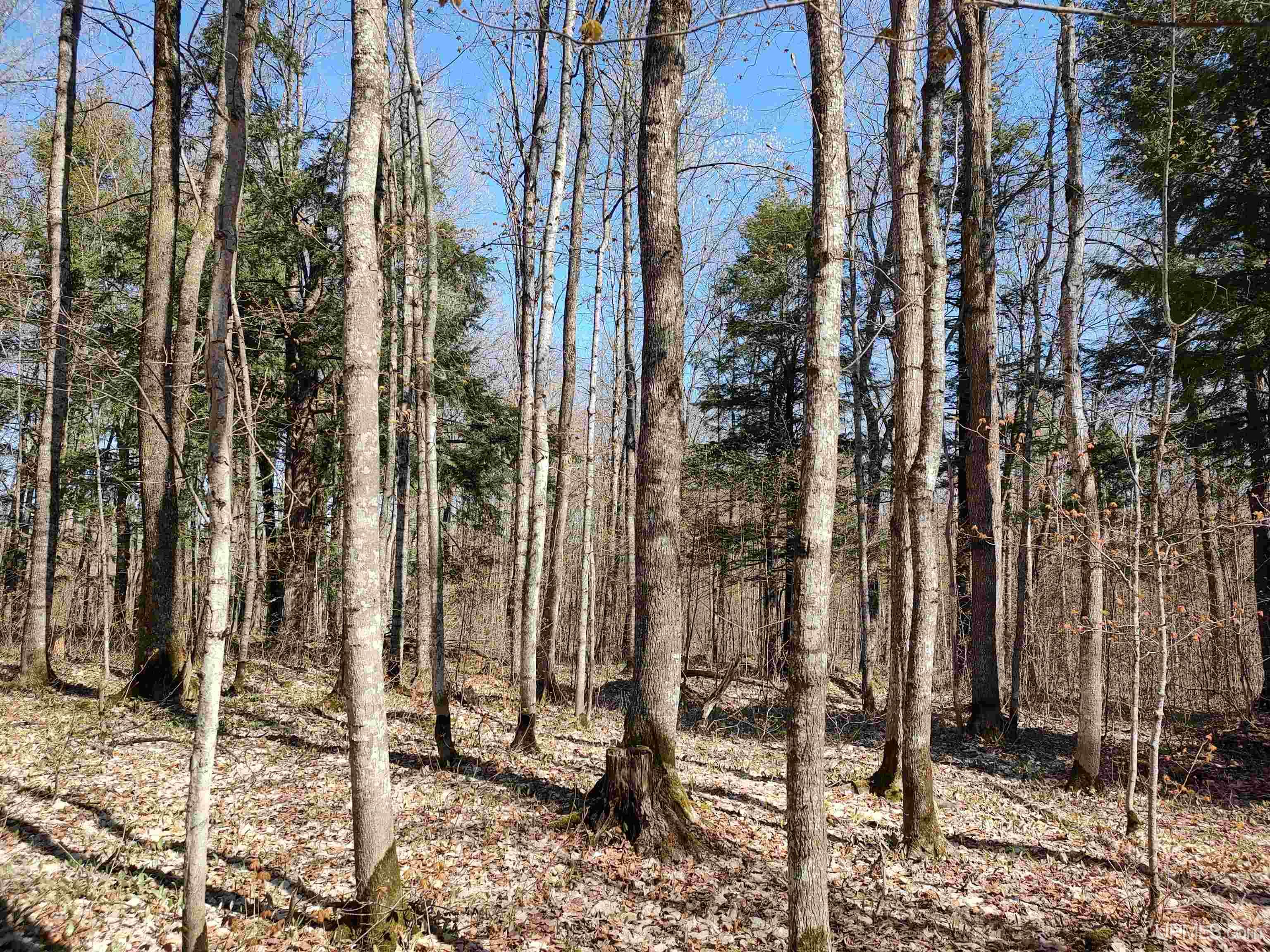 MLS 50141767 Large photo number 3 
