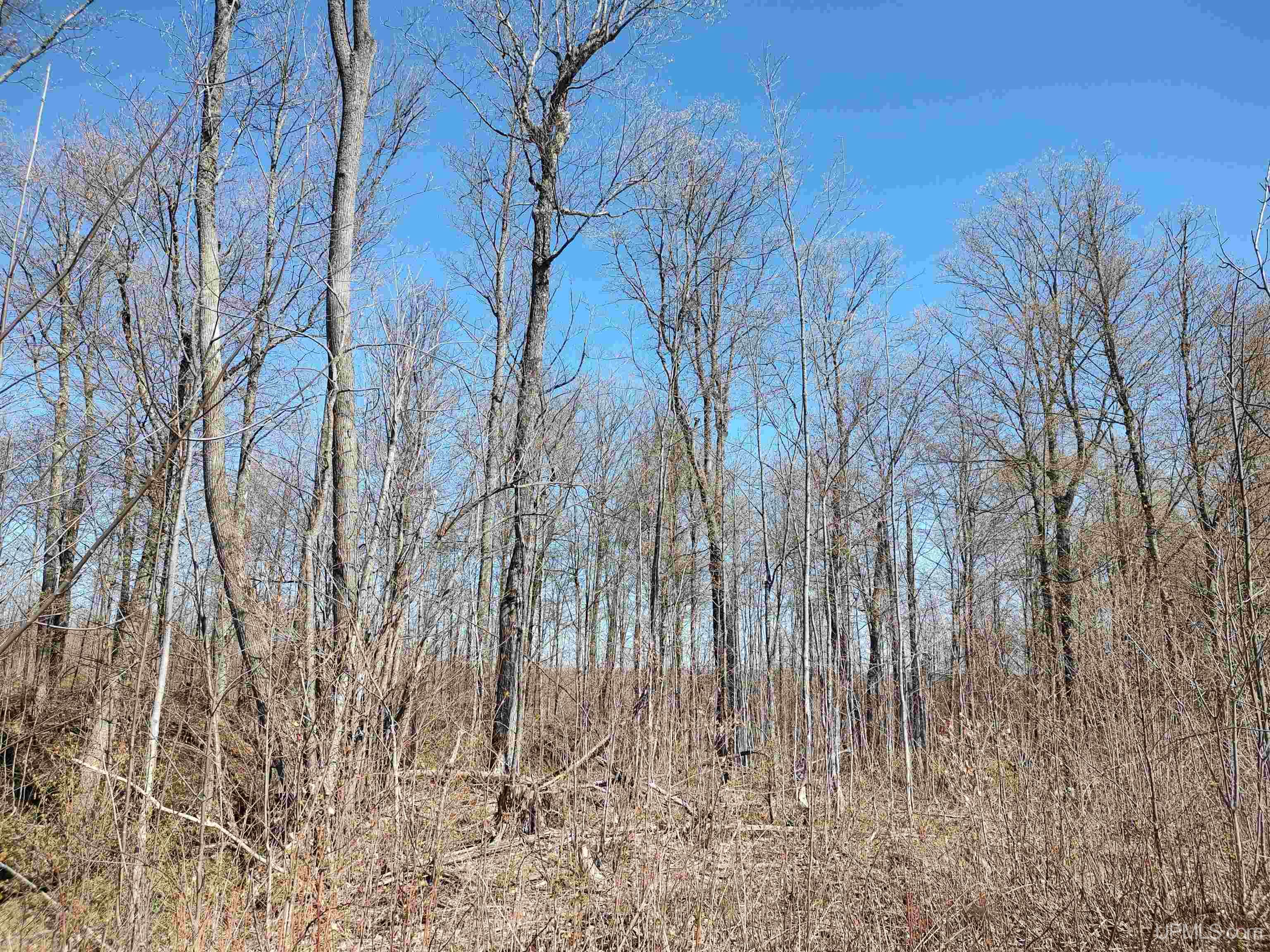 MLS 50141767 Large photo number 23 