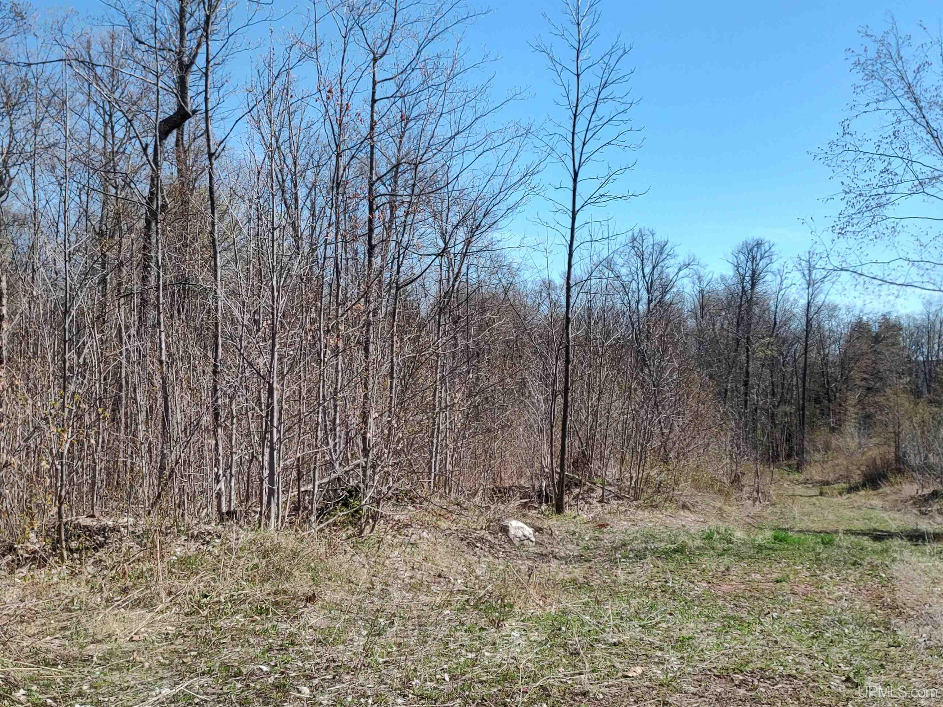 MLS 50141767 Large photo number 24 