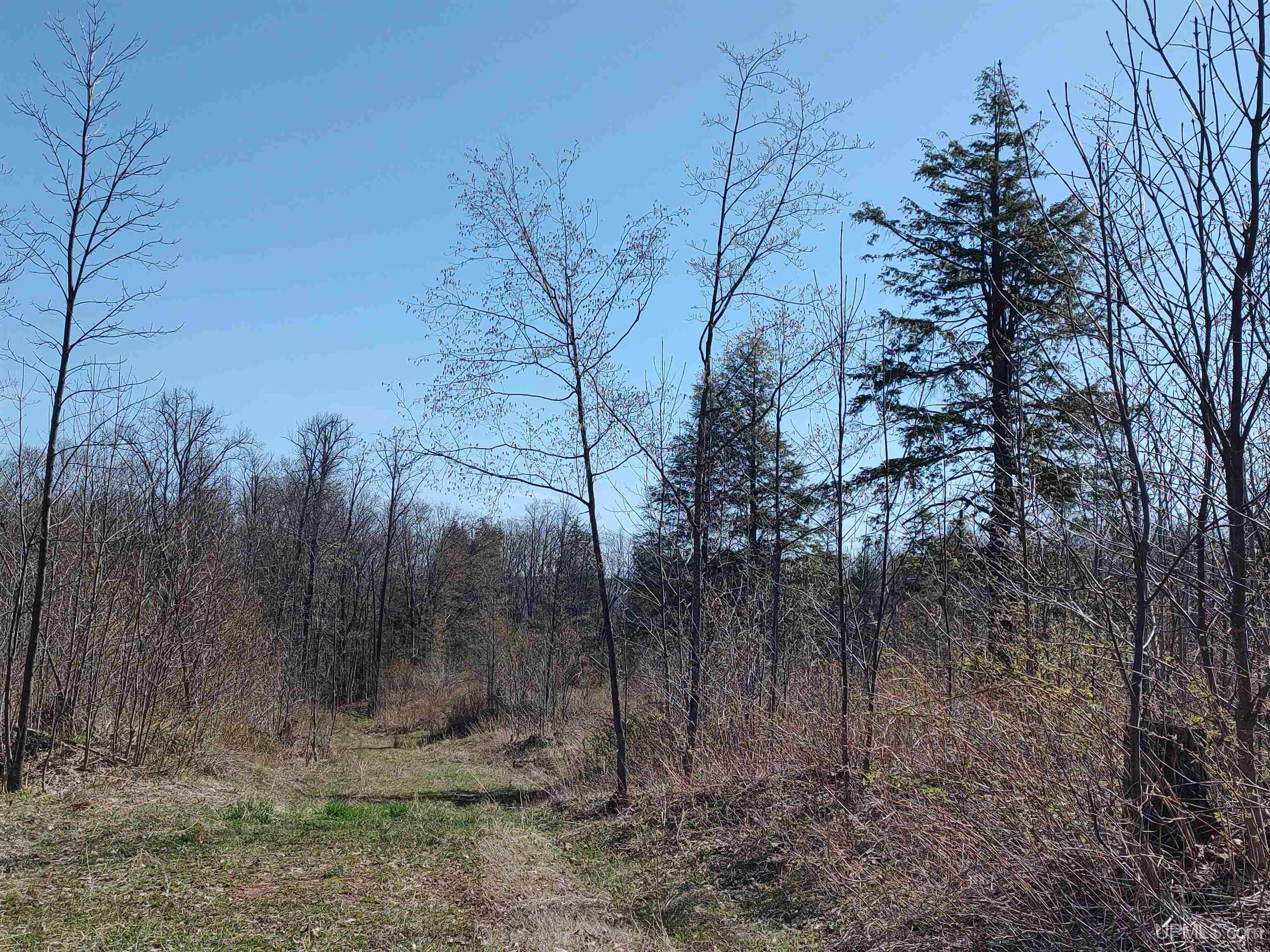 MLS 50141767 Large photo number 25 