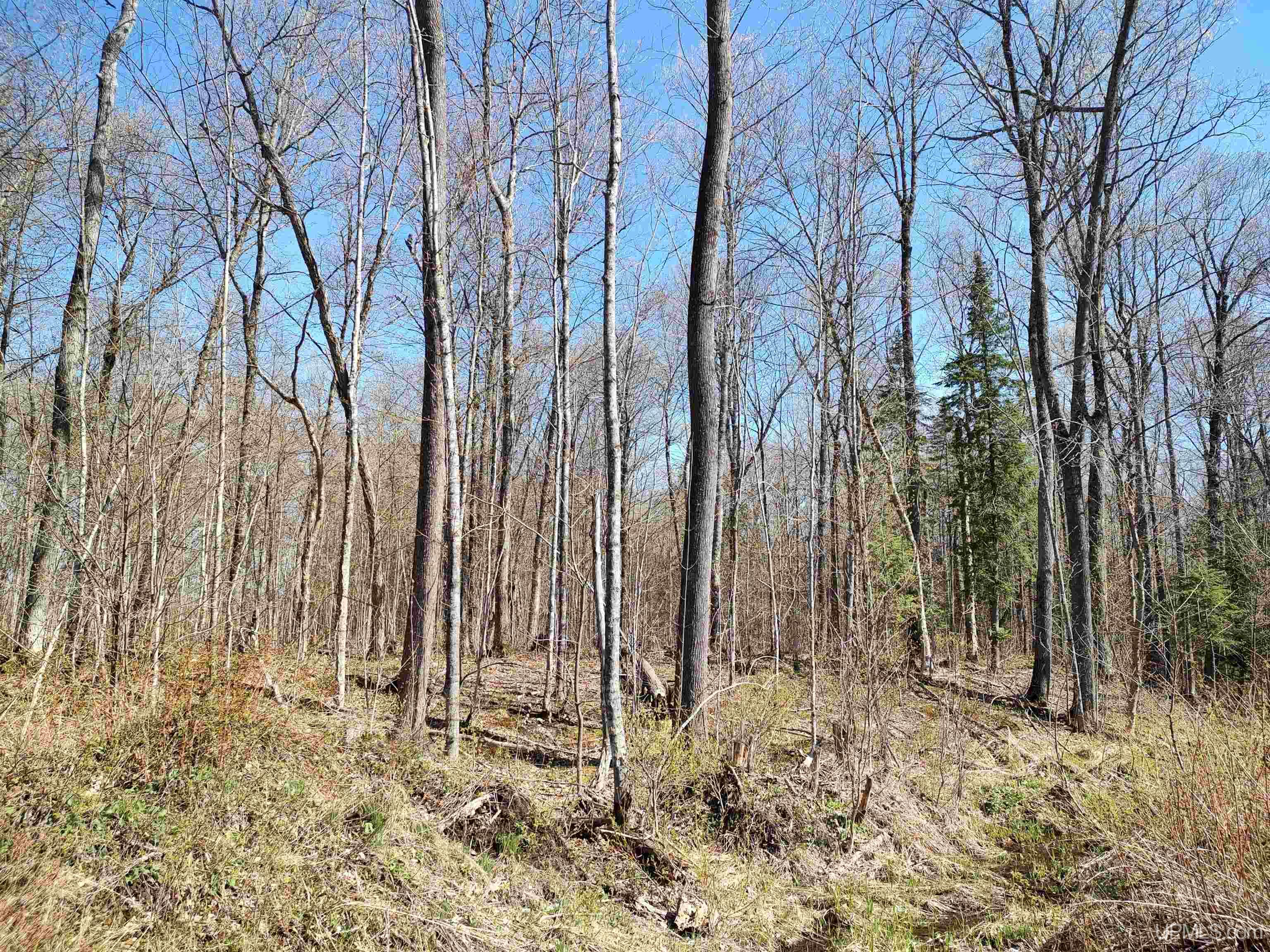 MLS 50141767 Large photo number 27 