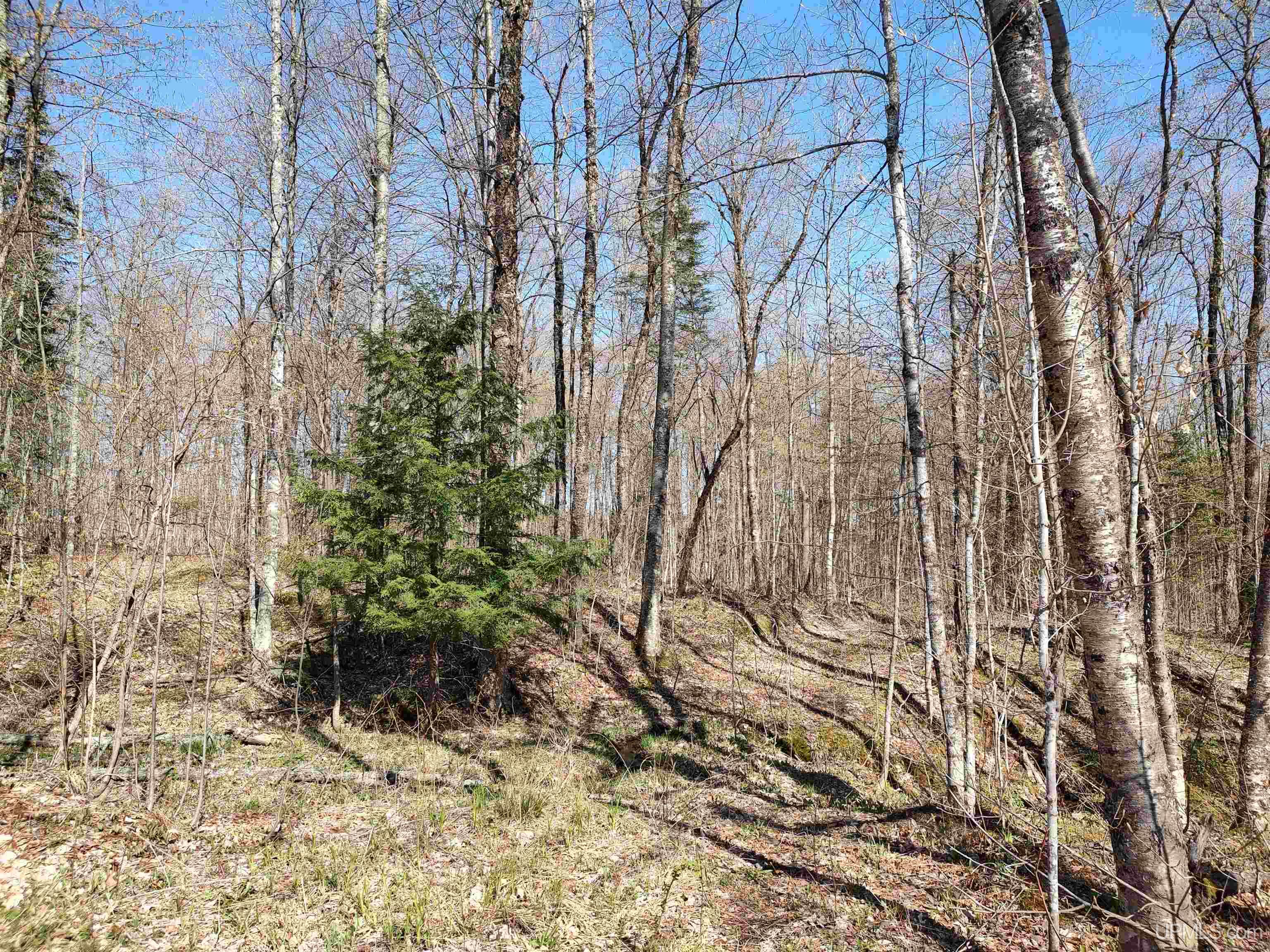 MLS 50141767 Large photo number 28 