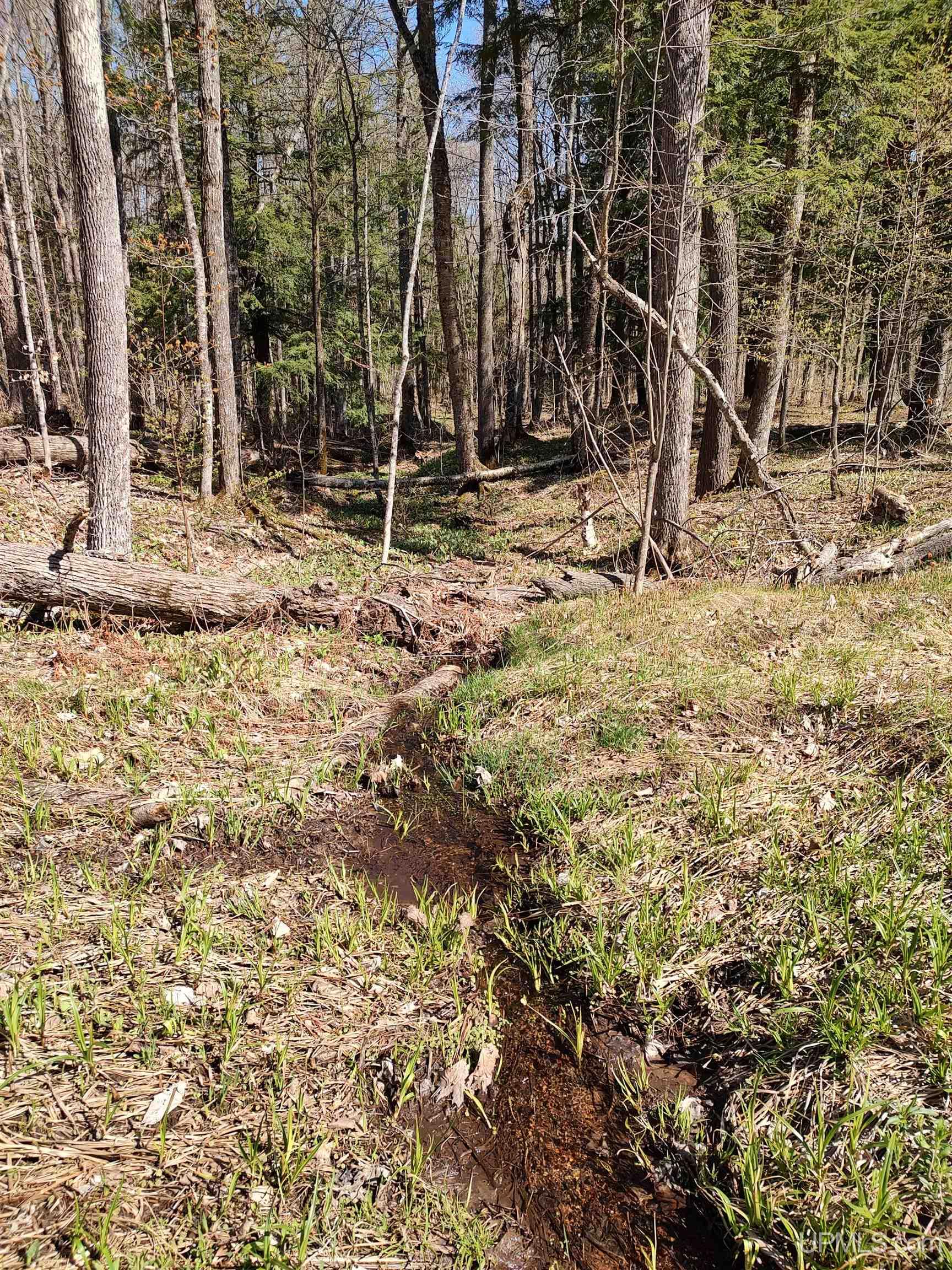 MLS 50141767 Large photo number 30 
