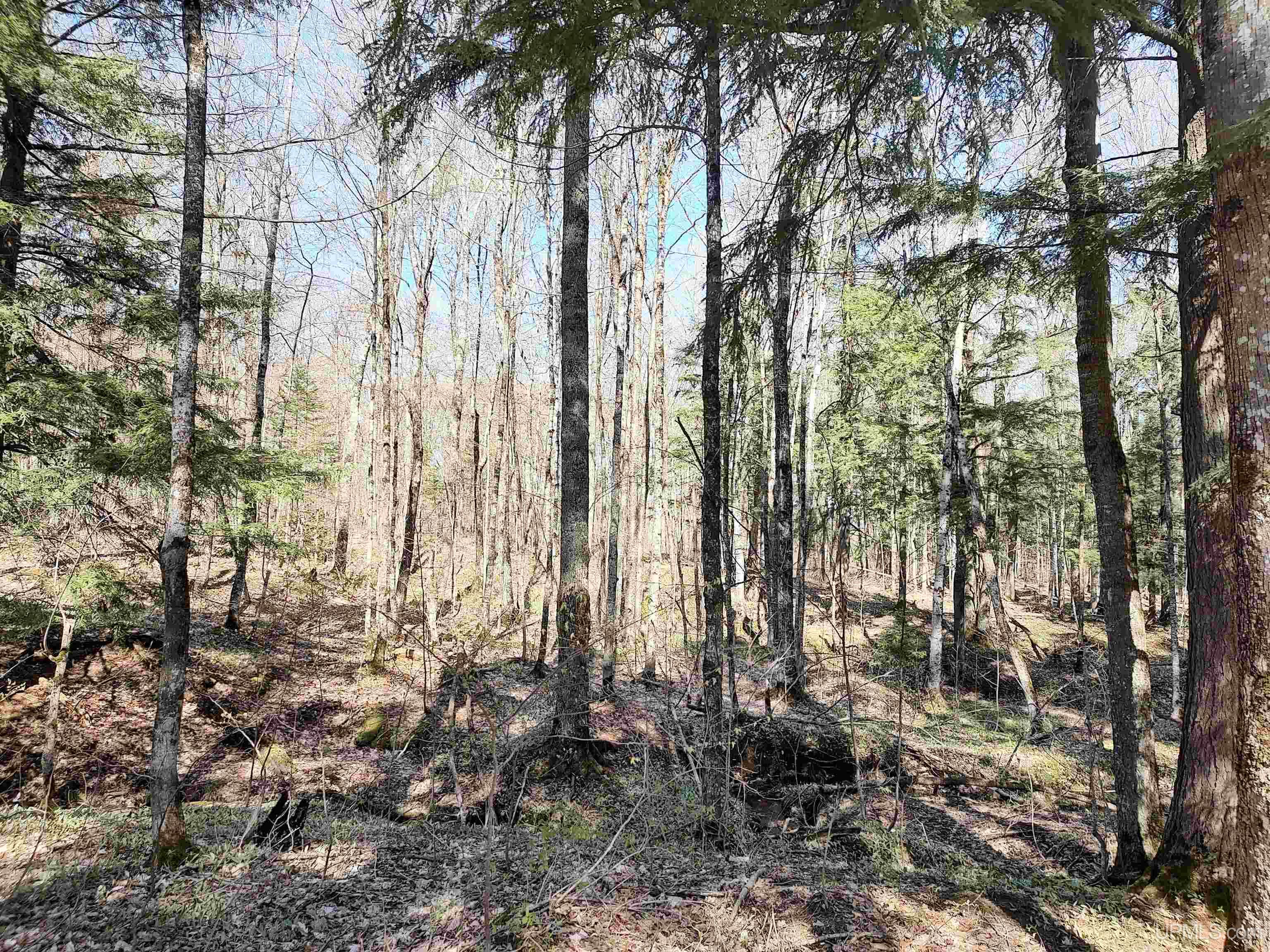MLS 50141767 Large photo number 33 