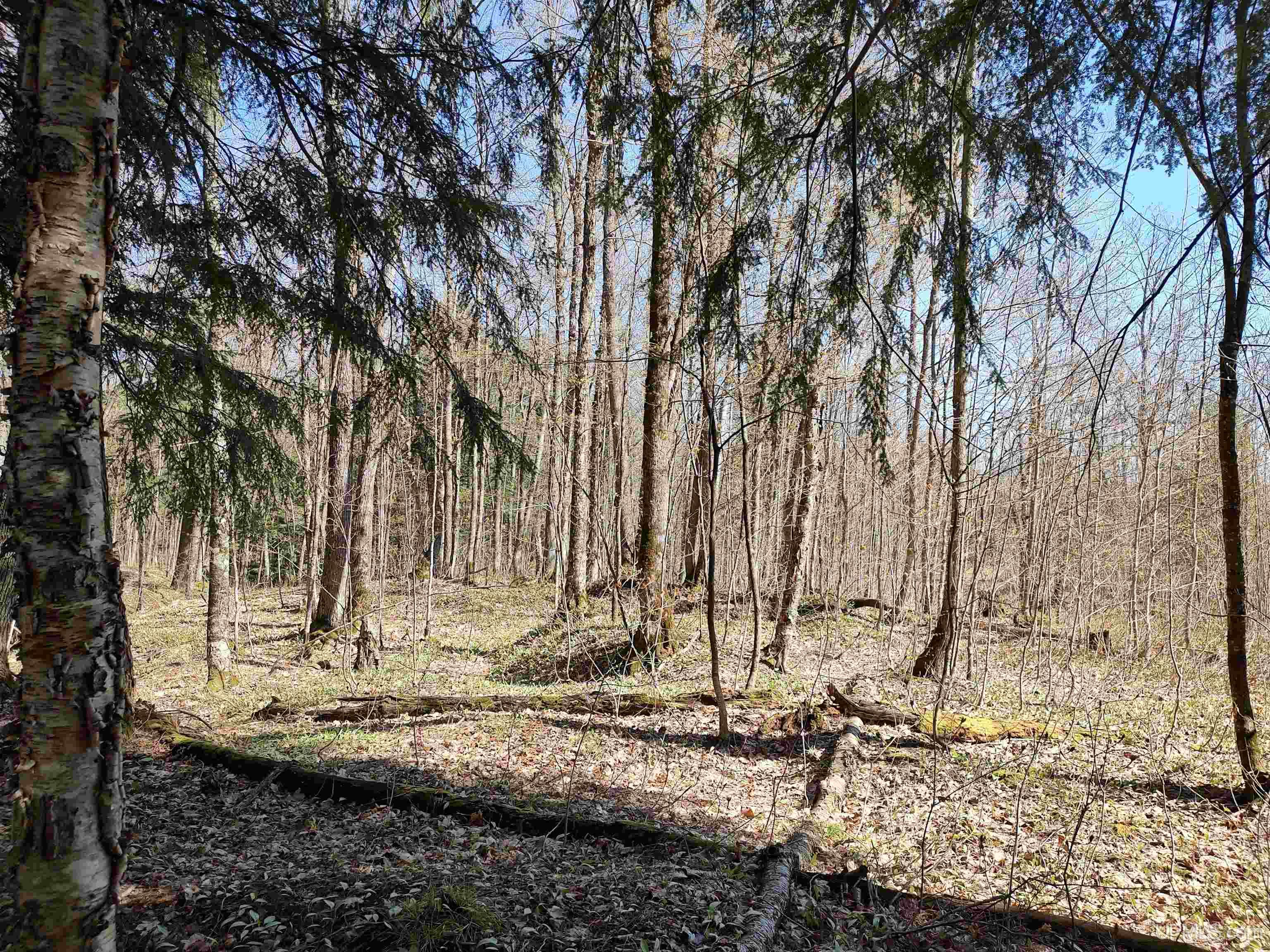 MLS 50141767 Large photo number 34 