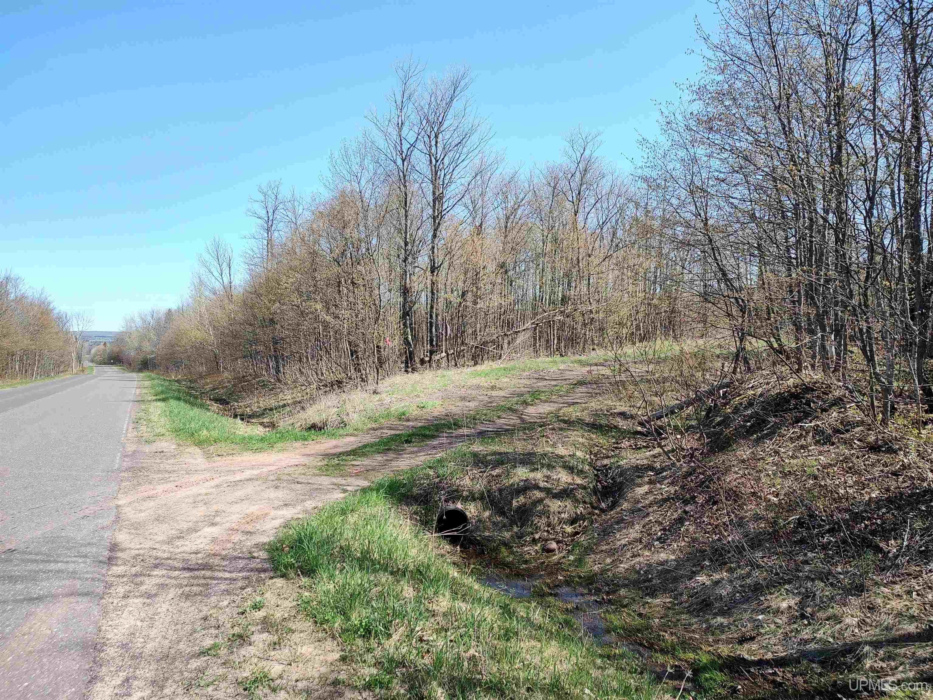 MLS 50141767 Large photo number 5 
