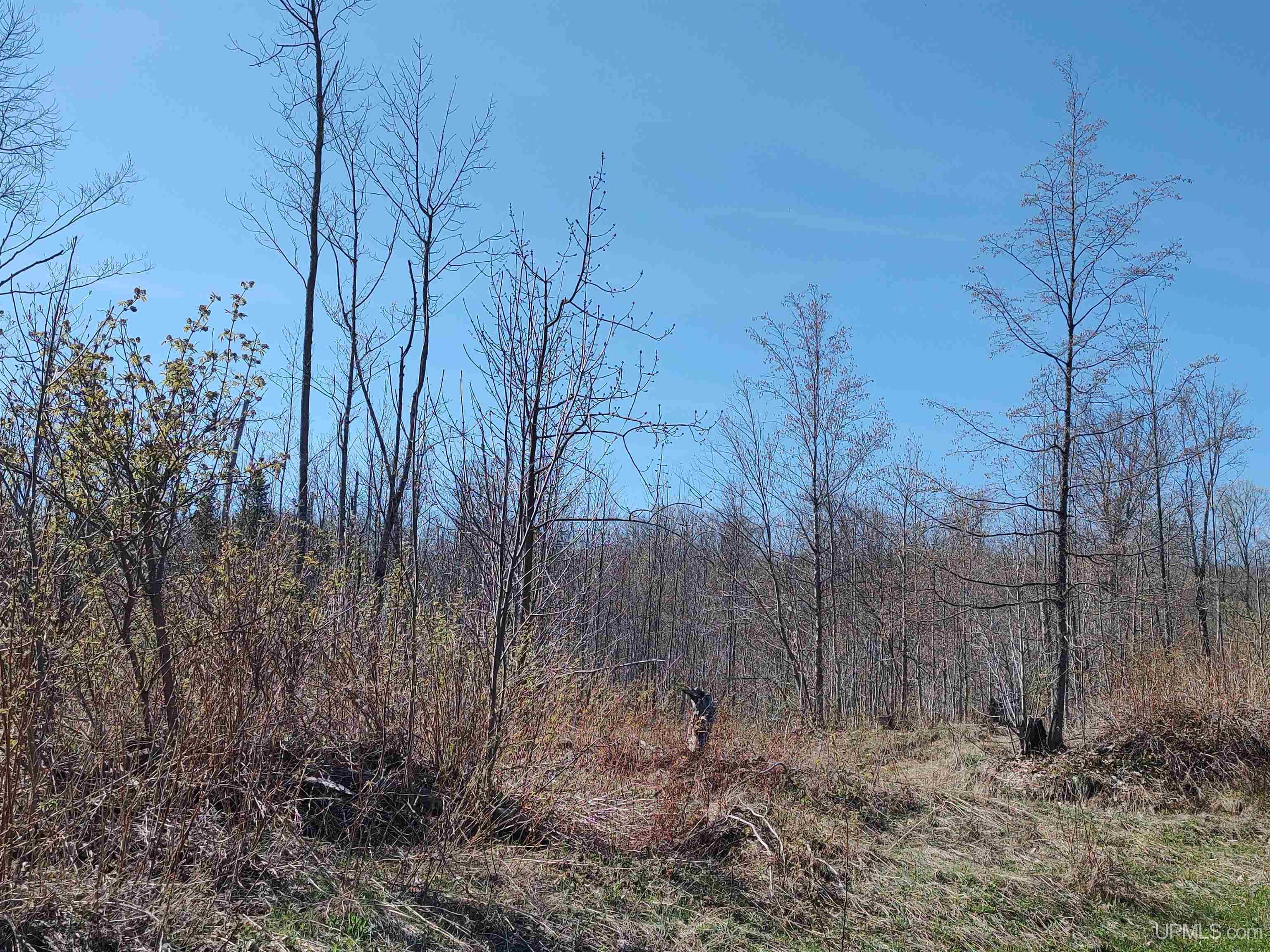 MLS 50141767 Large photo number 46 