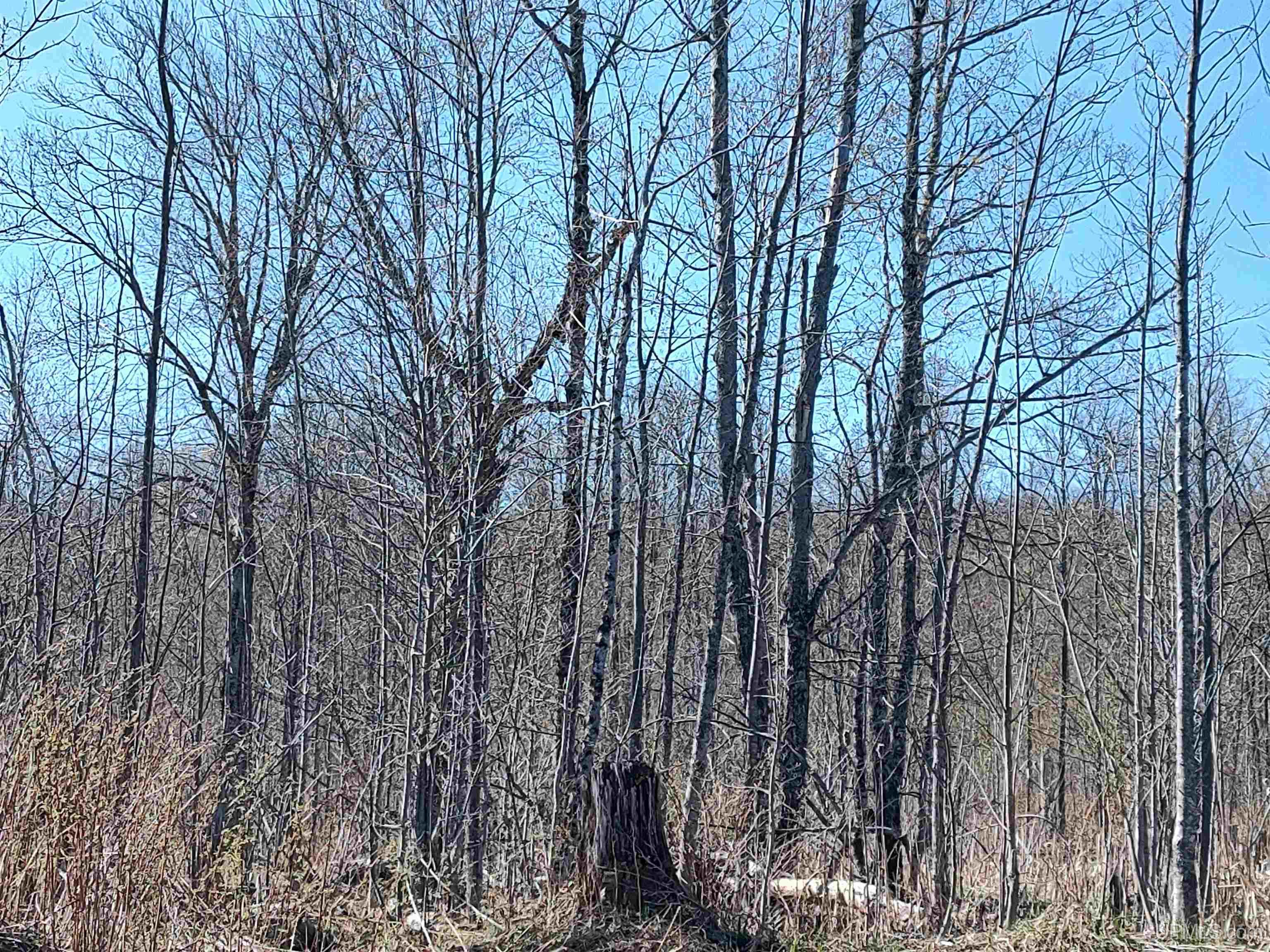 MLS 50141767 Large photo number 48 
