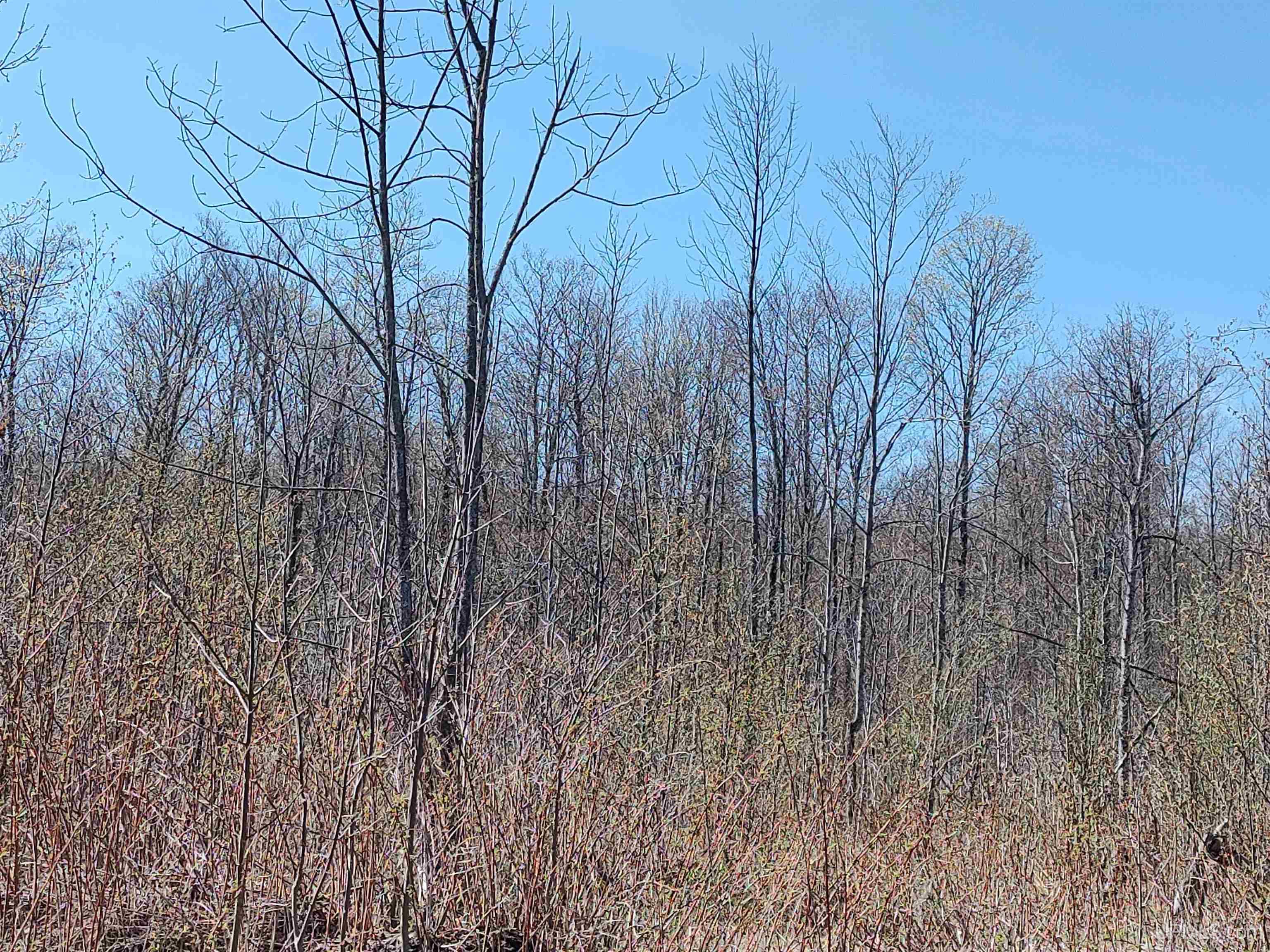 MLS 50141767 Large photo number 49 