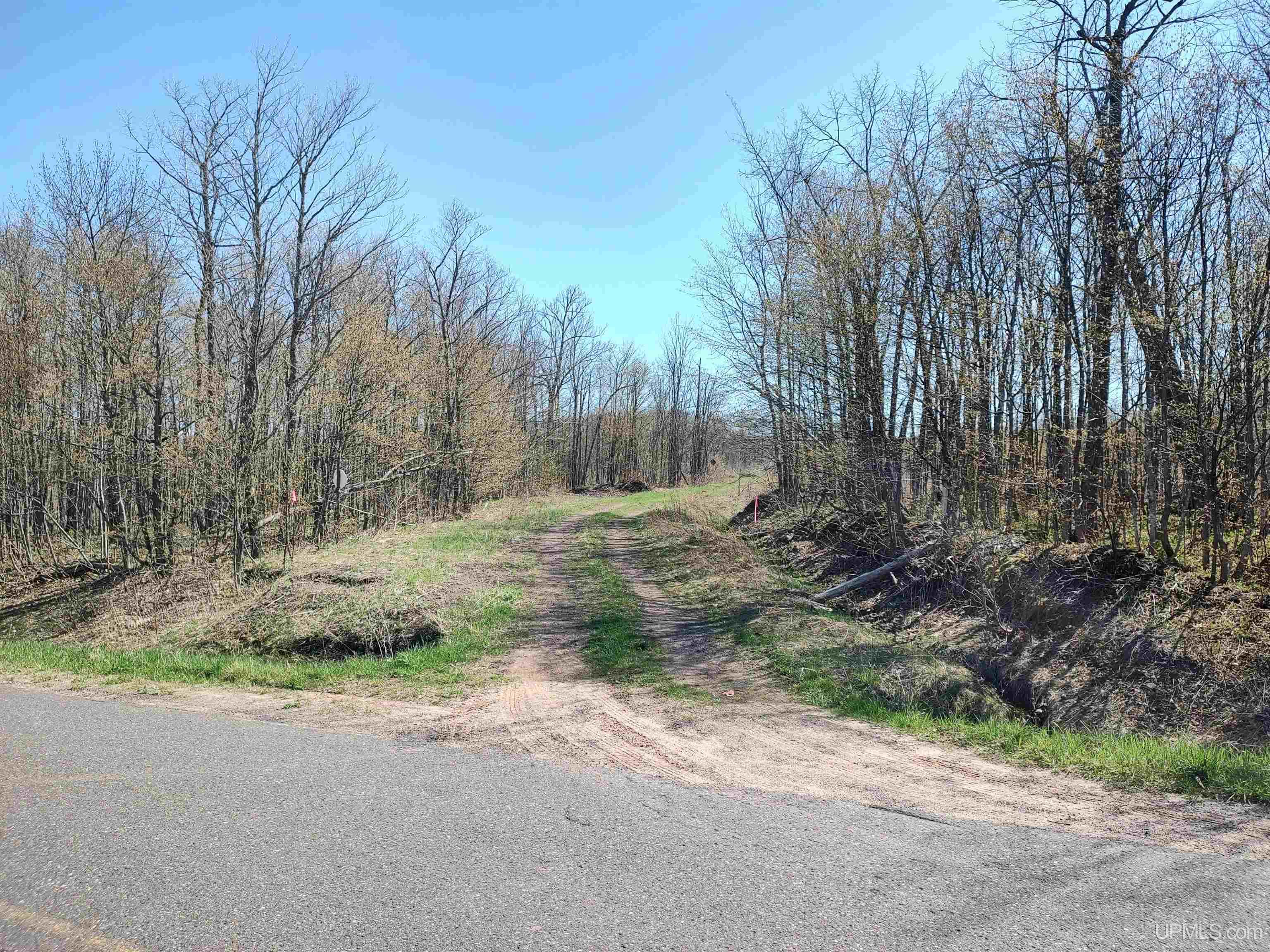 MLS 50141767 Large photo number 6 