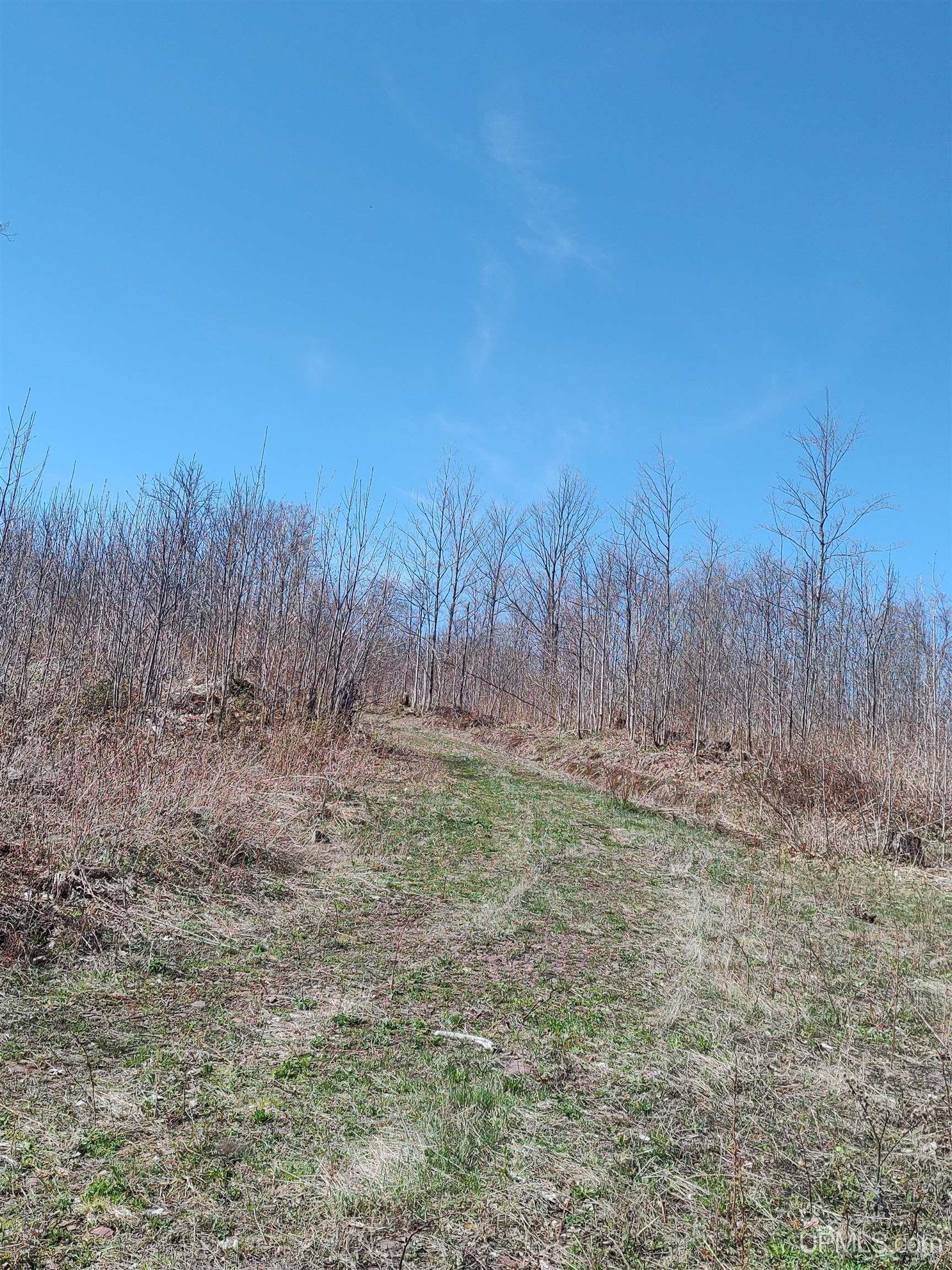 MLS 50141767 Large photo number 51 