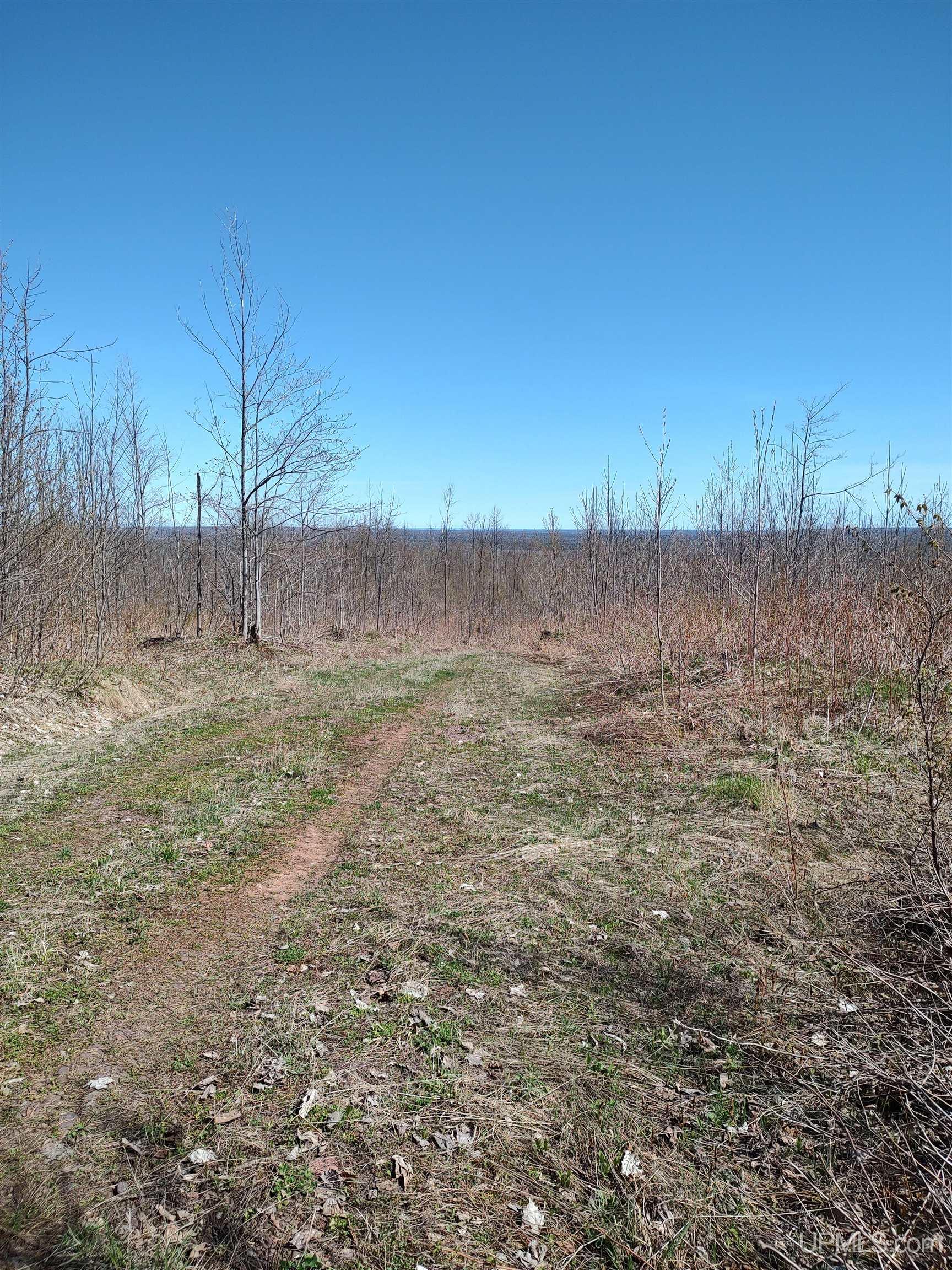MLS 50141767 Large photo number 52 
