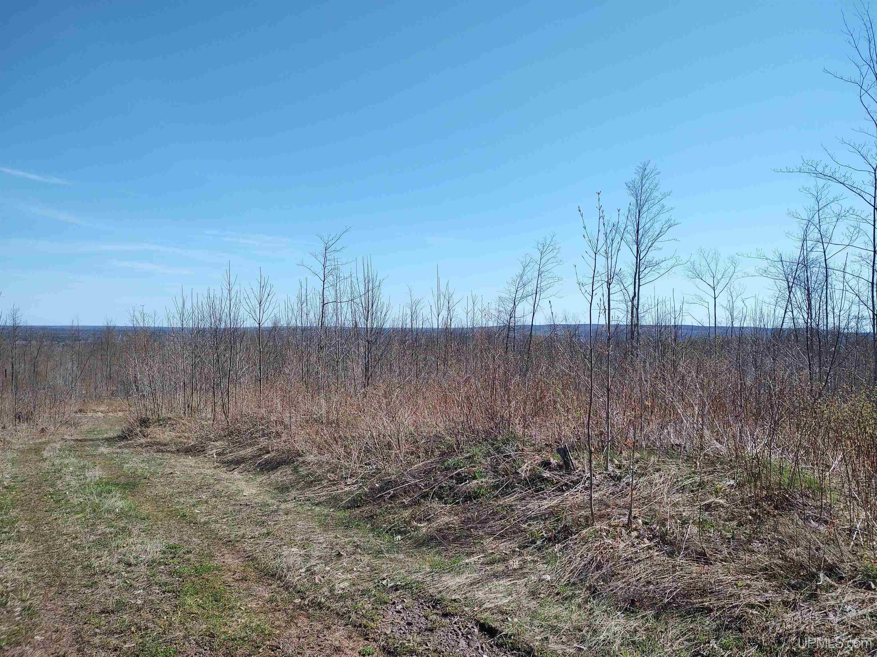 MLS 50141767 Large photo number 7 