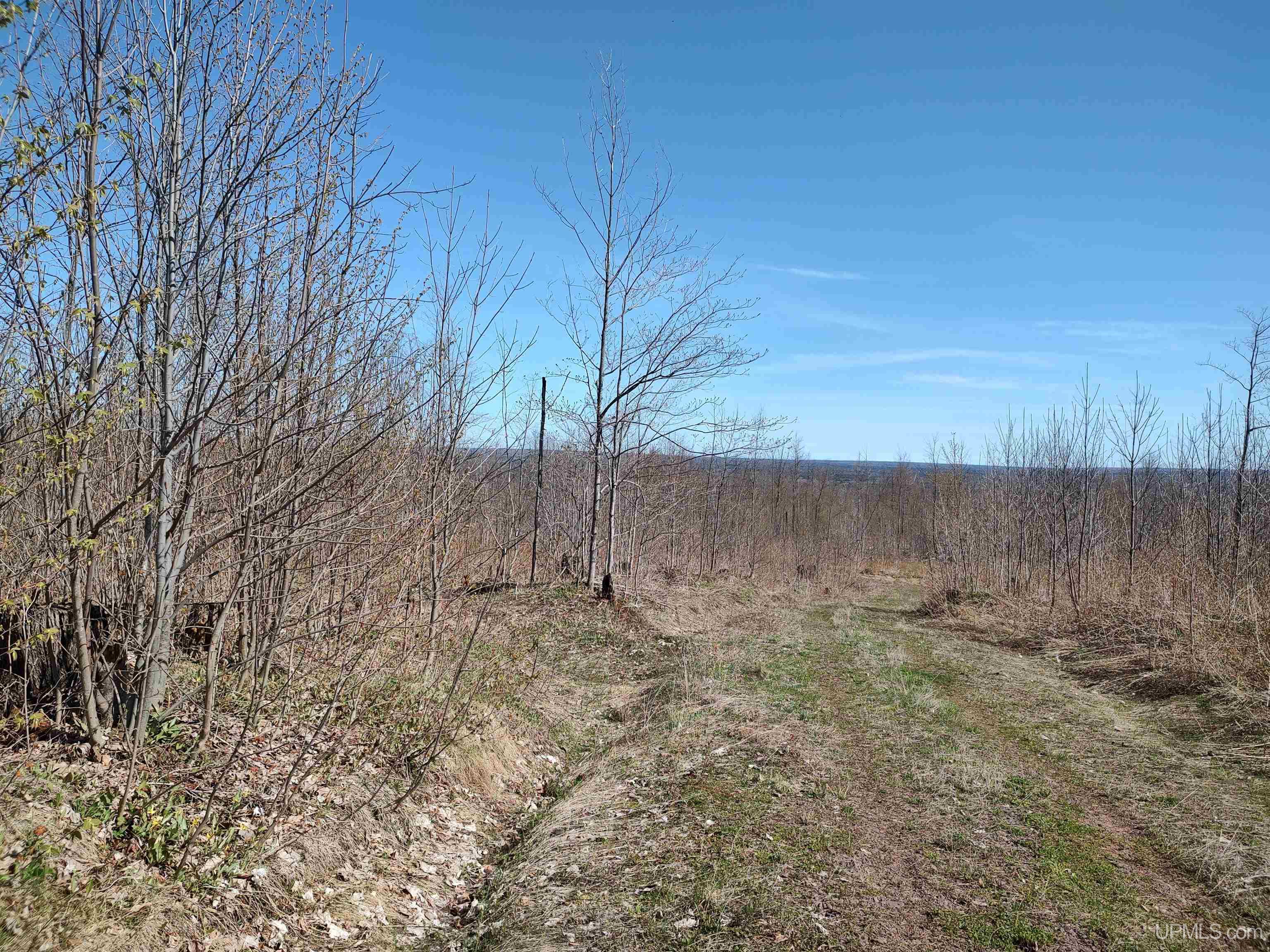 MLS 50141767 Large photo number 8 