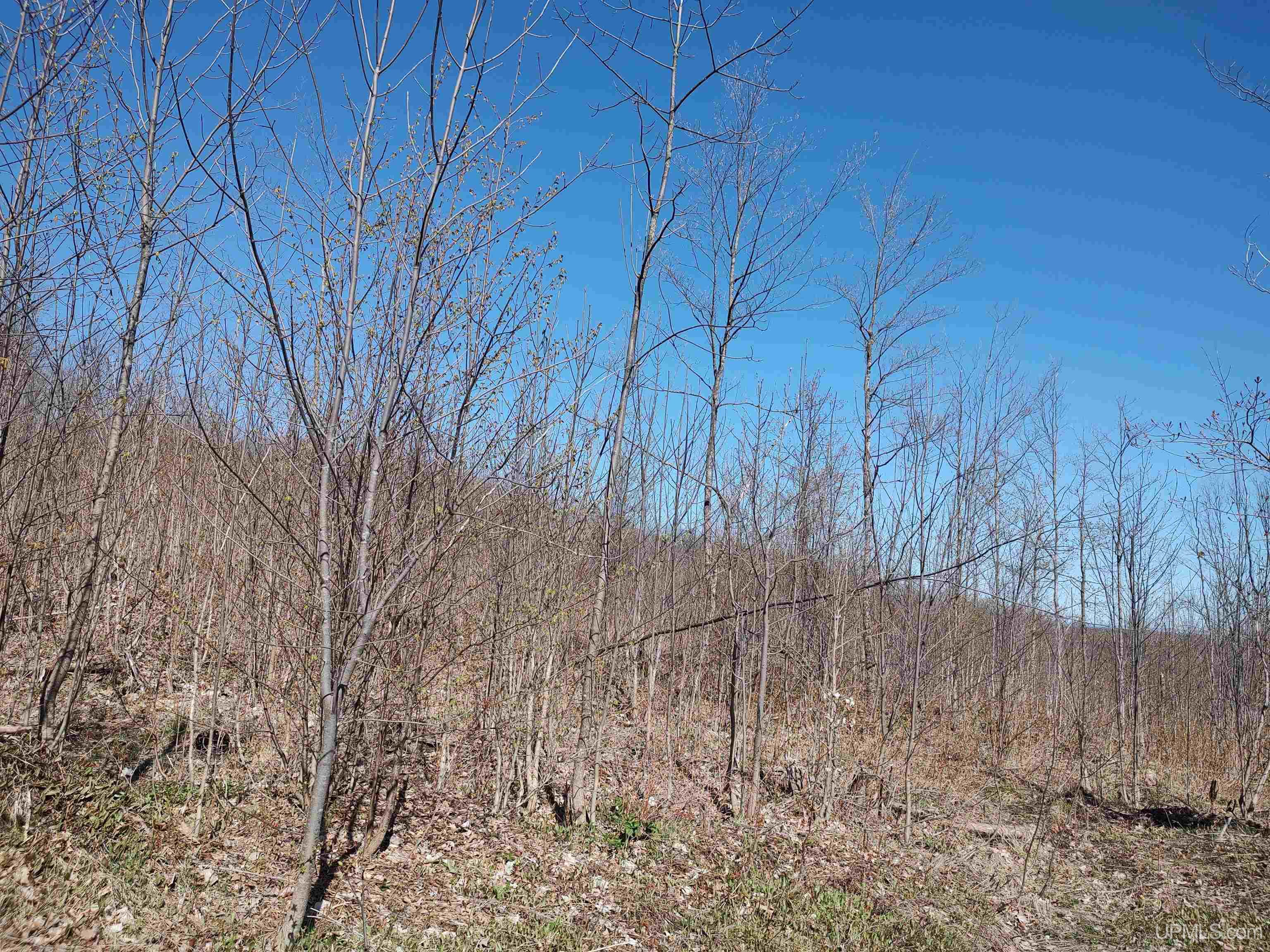 MLS 50141767 Large photo number 9 
