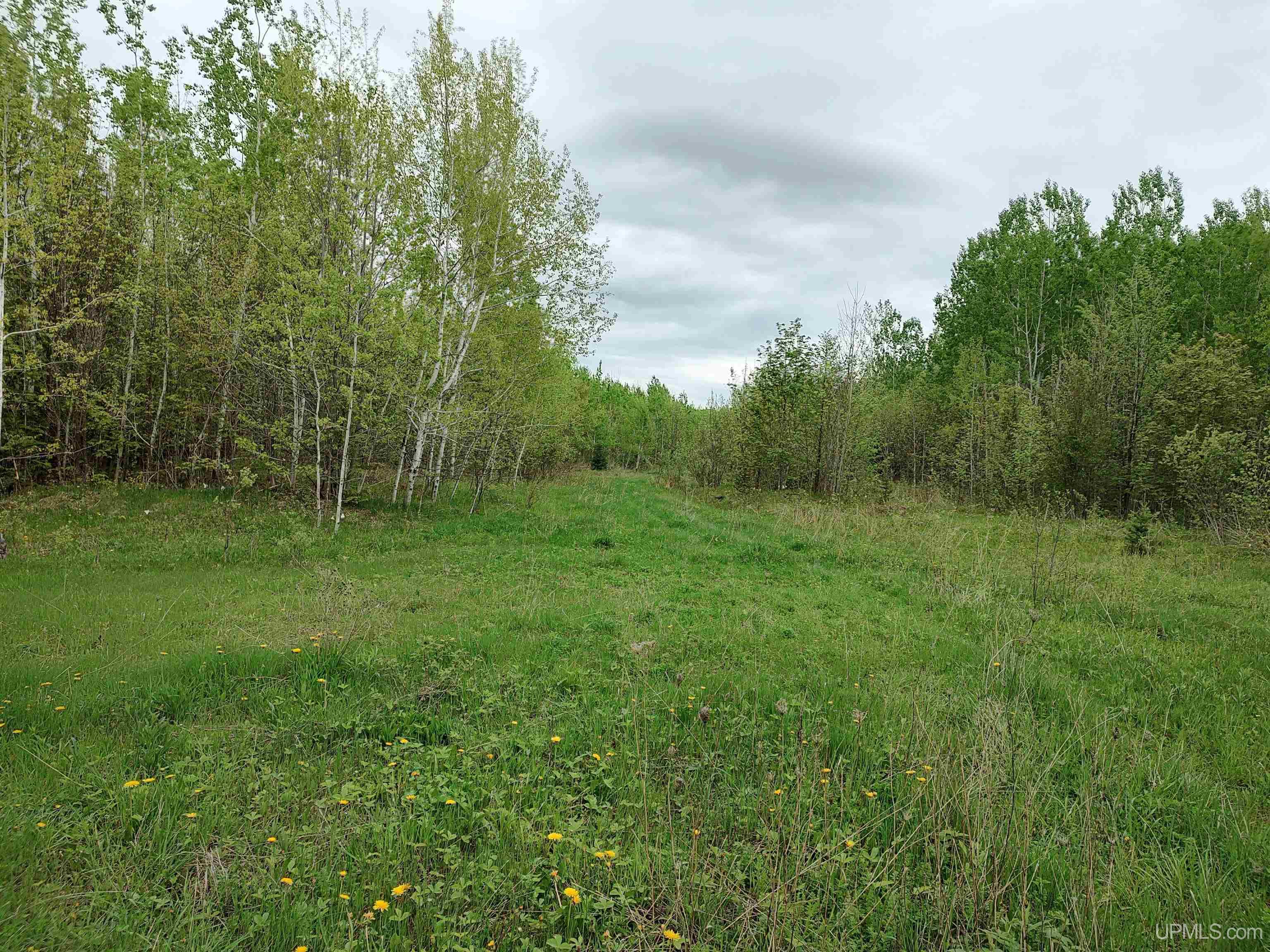 MLS 50142750 Large photo number 13 