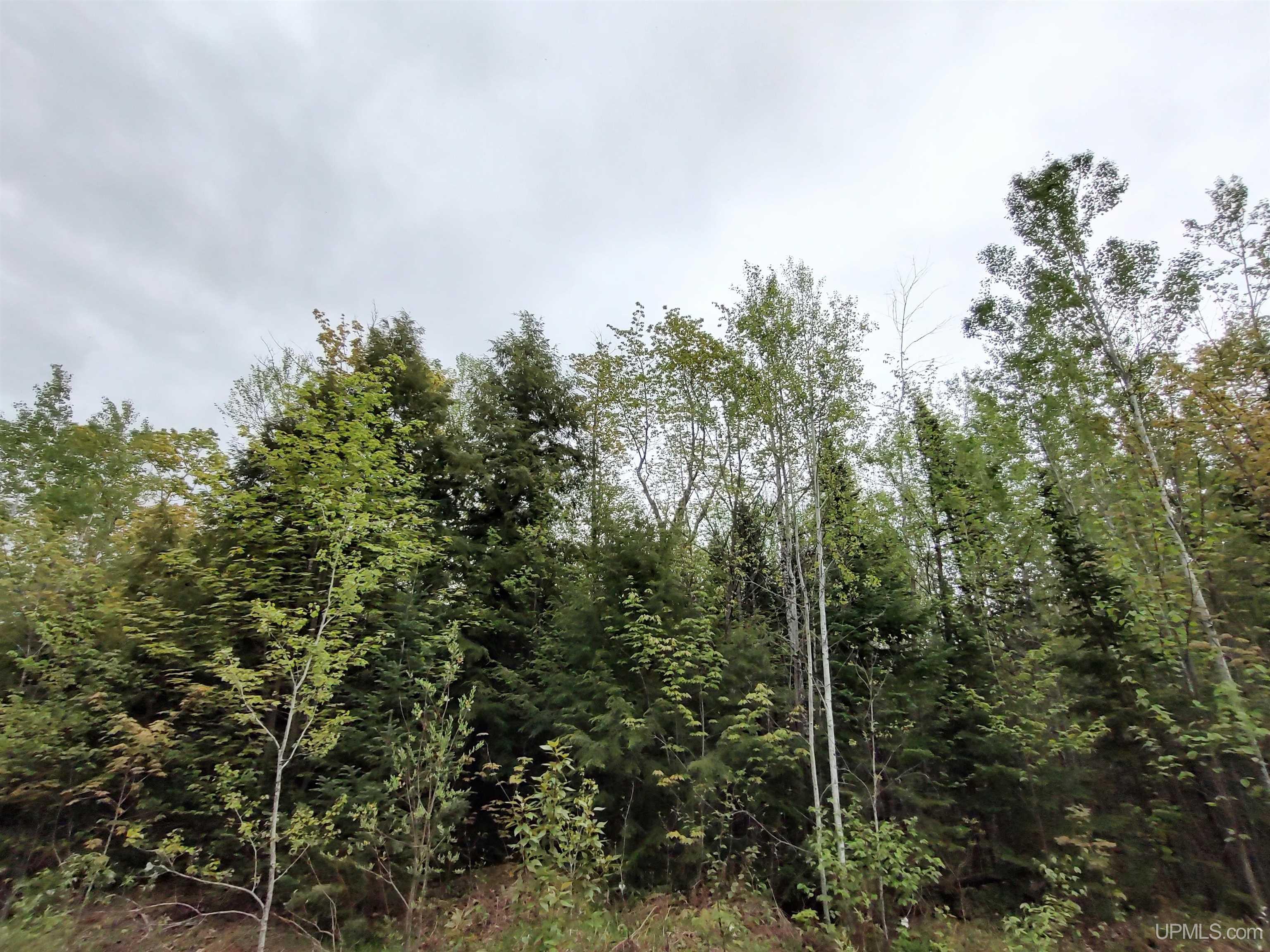 MLS 50142750 Large photo number 18 