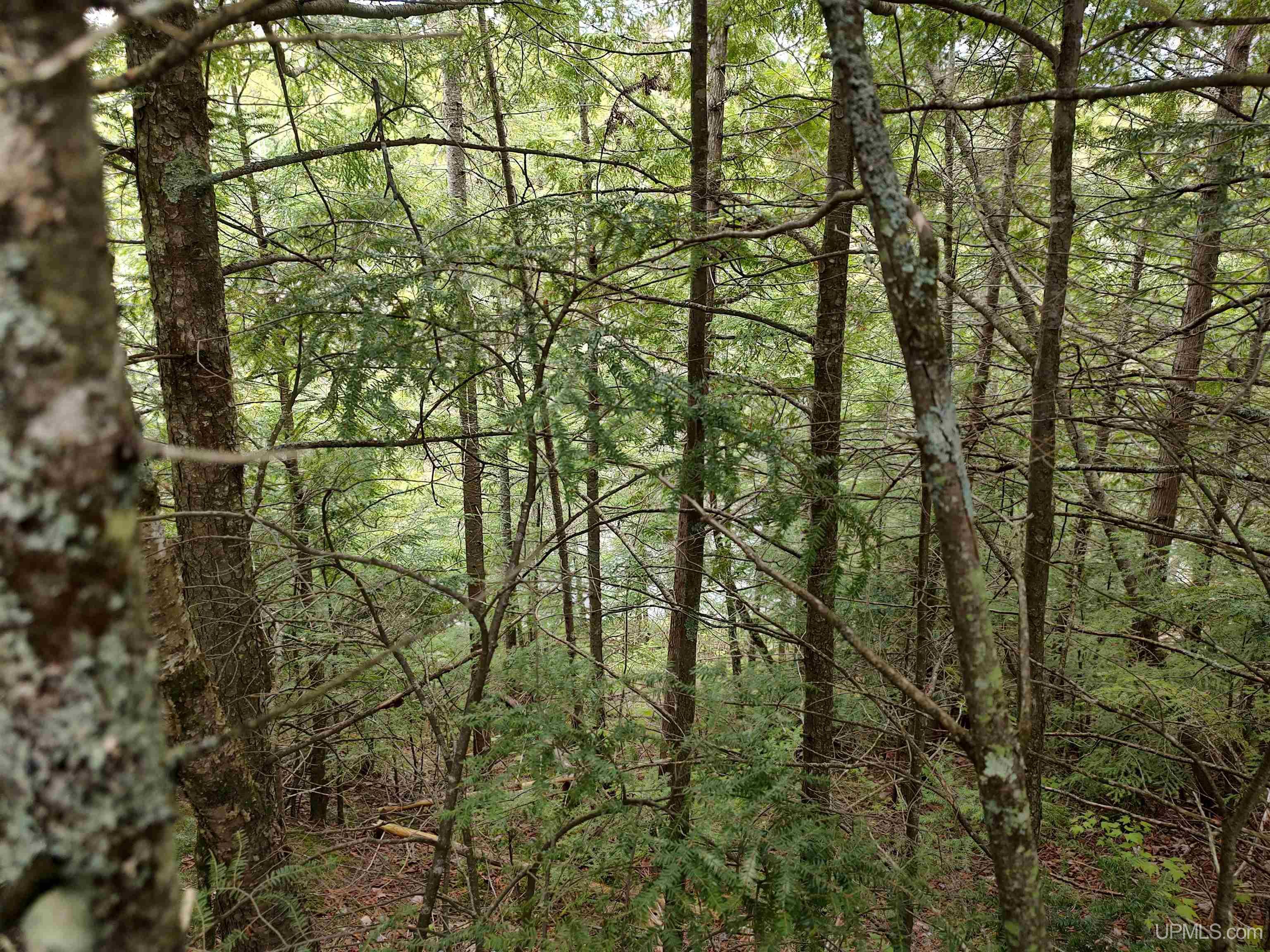 MLS 50142750 Large photo number 19 
