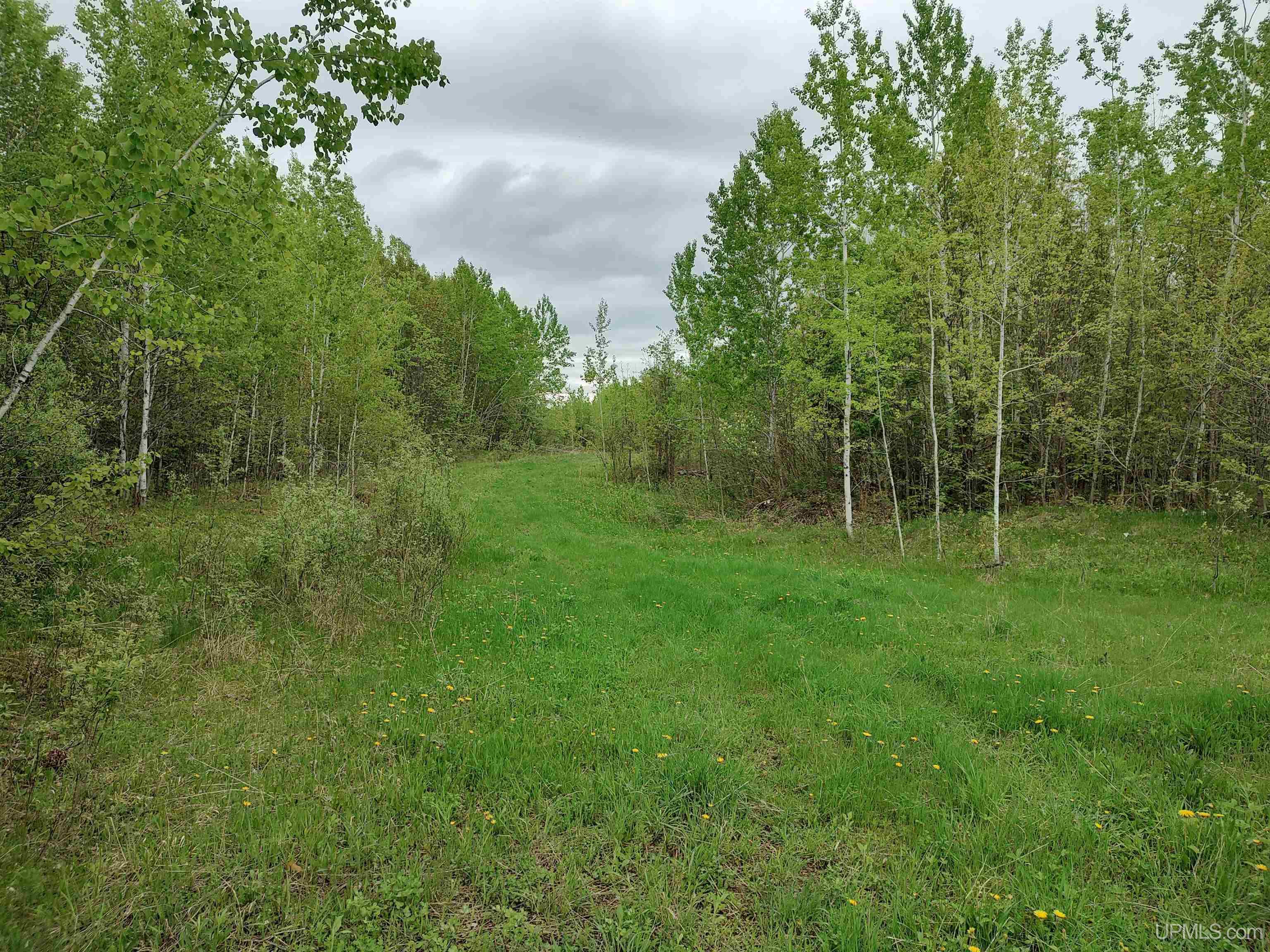 MLS 50142750 Large photo number 3 
