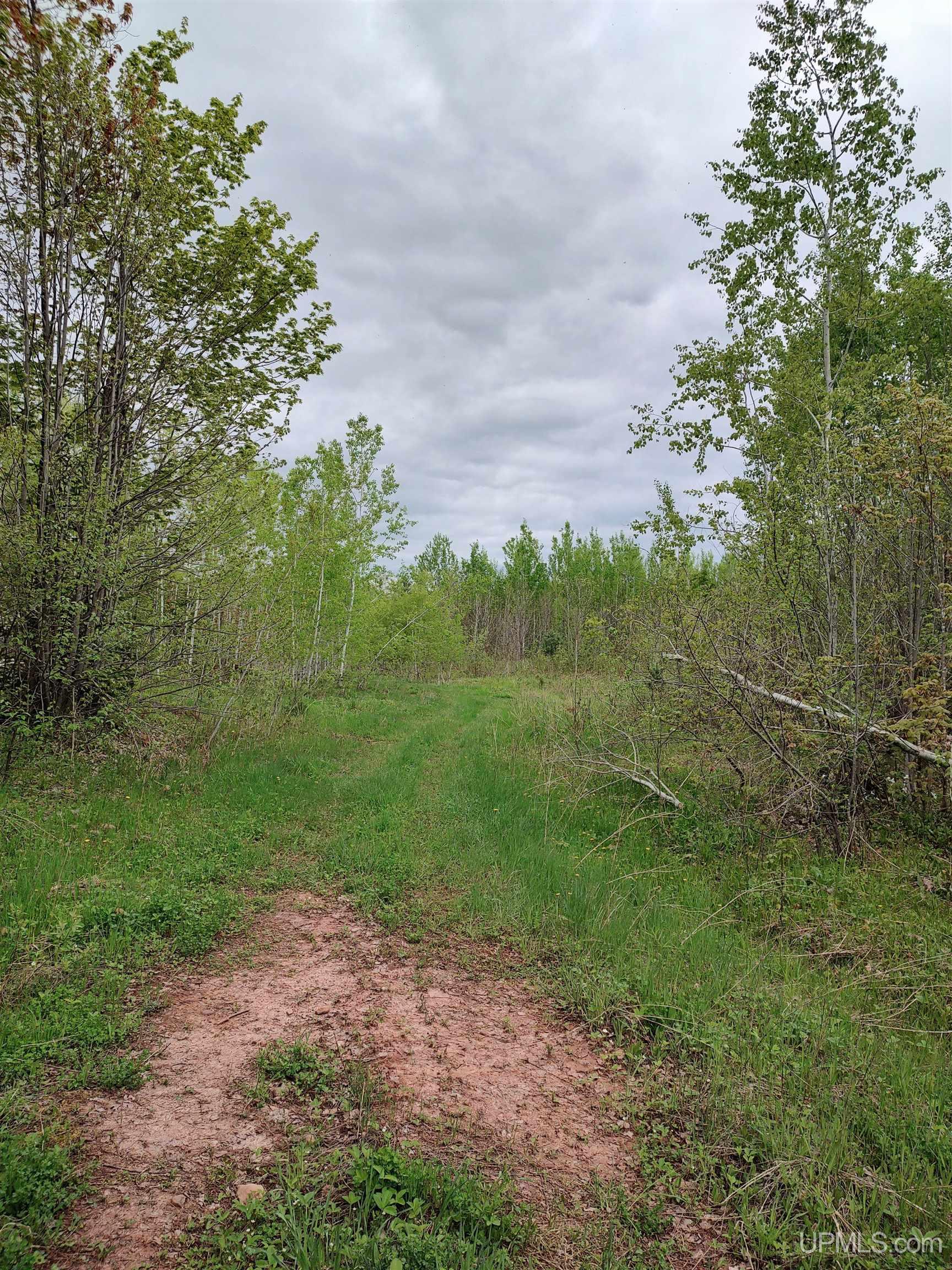 MLS 50142750 Large photo number 22 