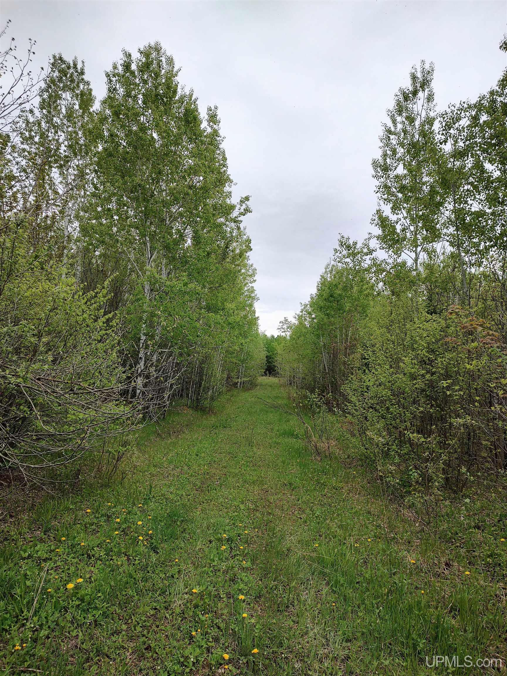 MLS 50142750 Large photo number 25 