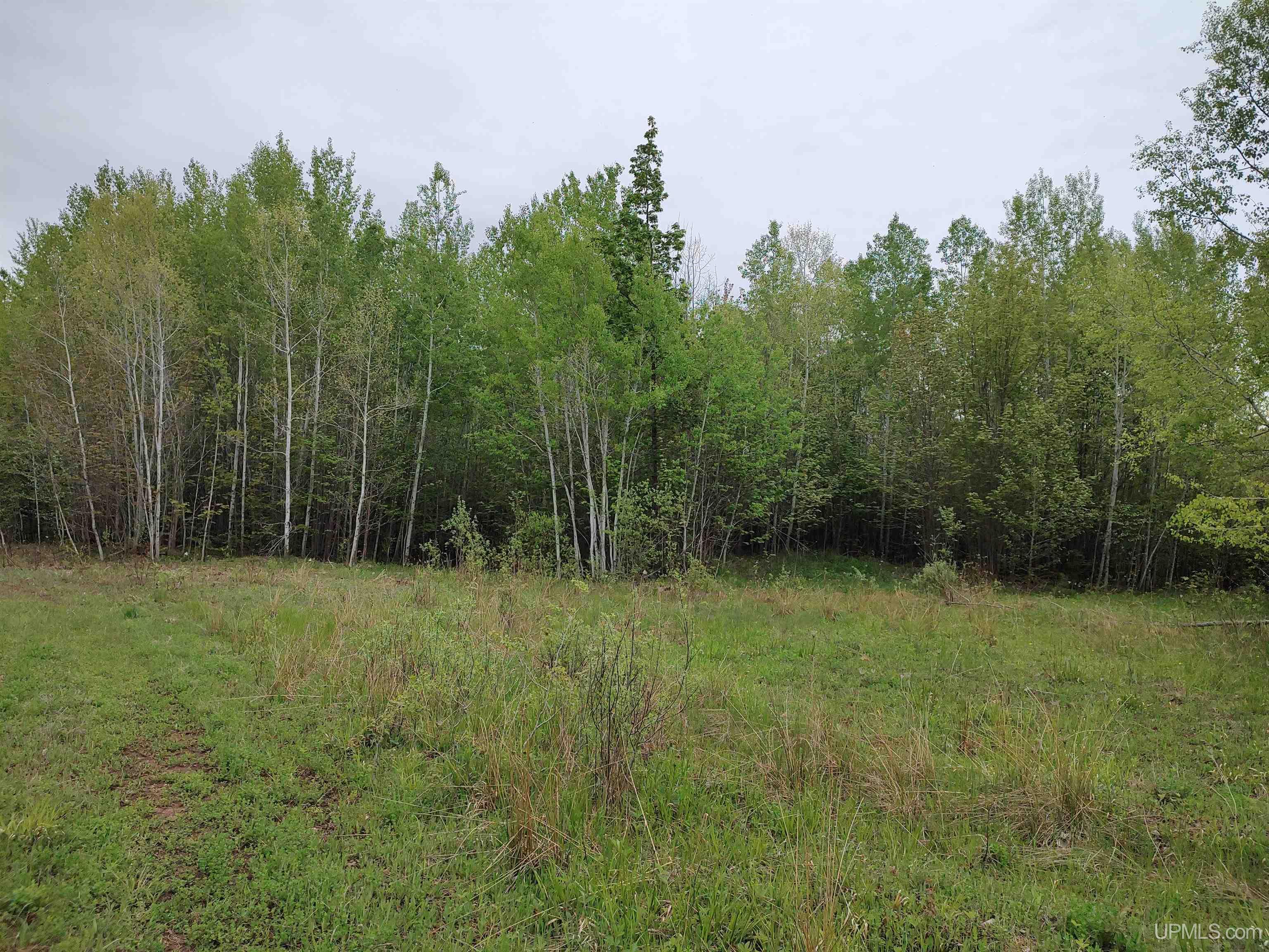 MLS 50142750 Large photo number 26 