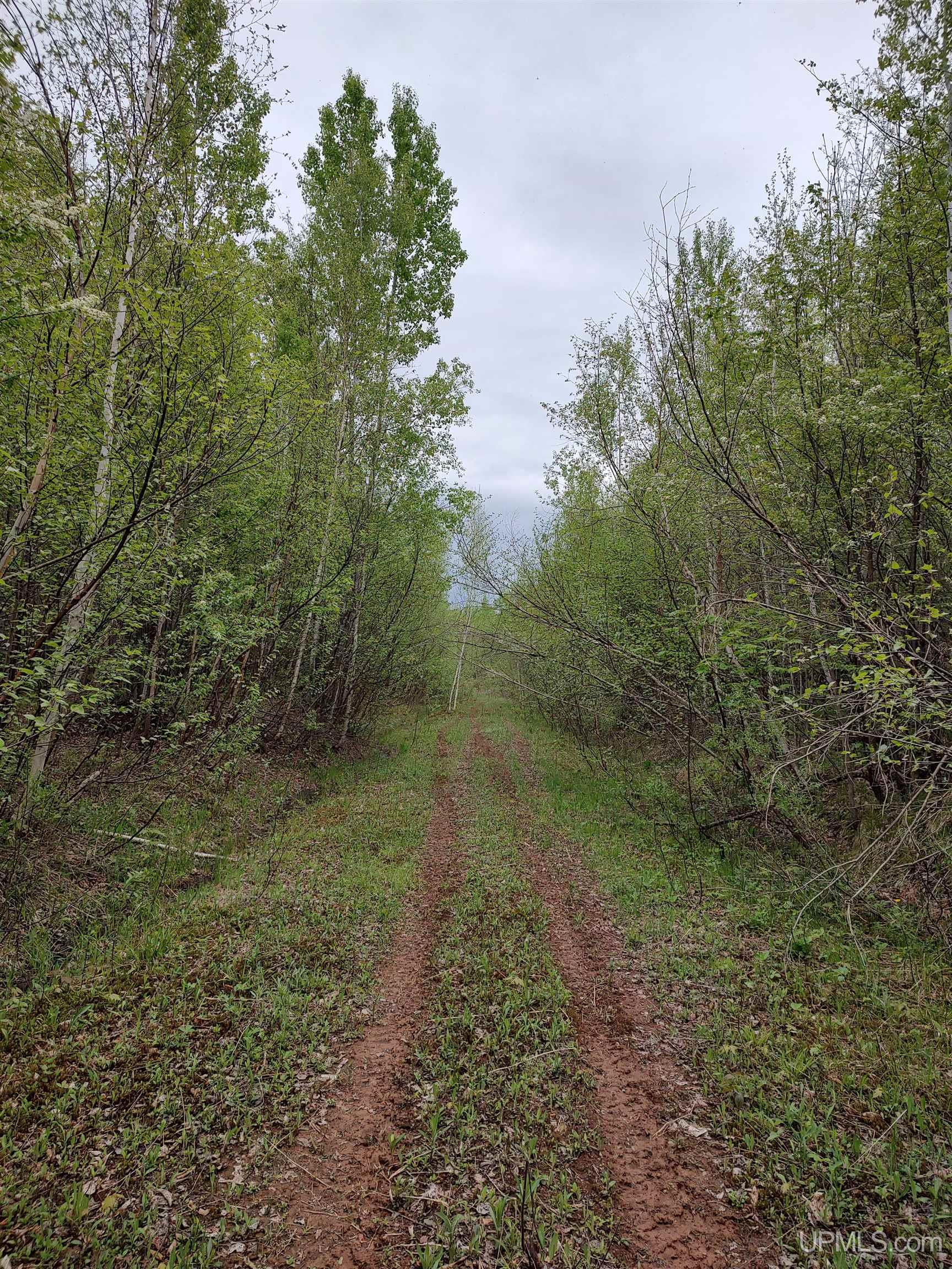 MLS 50142750 Large photo number 27 