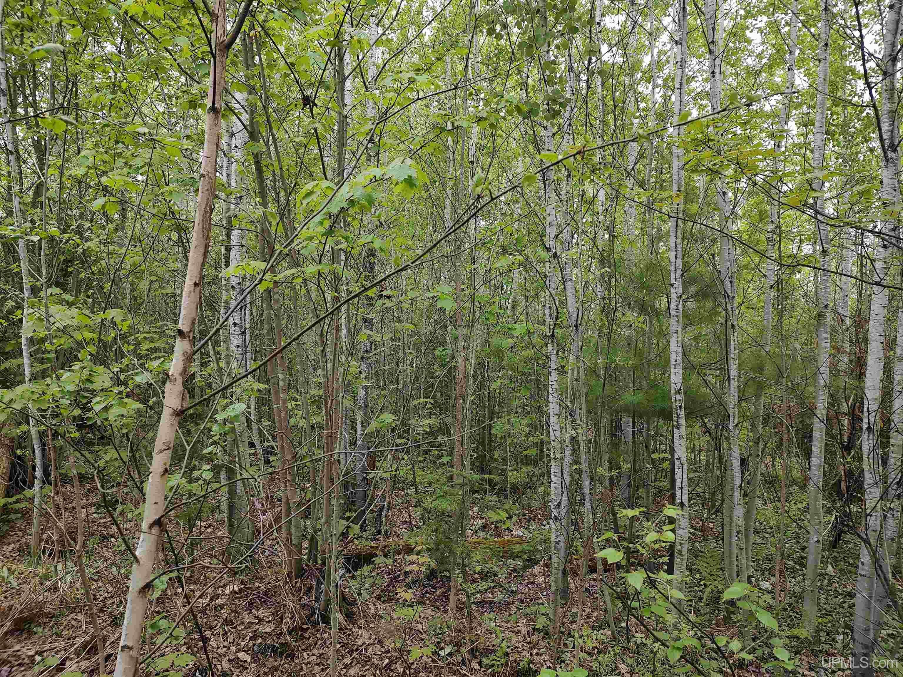 MLS 50142750 Large photo number 28 
