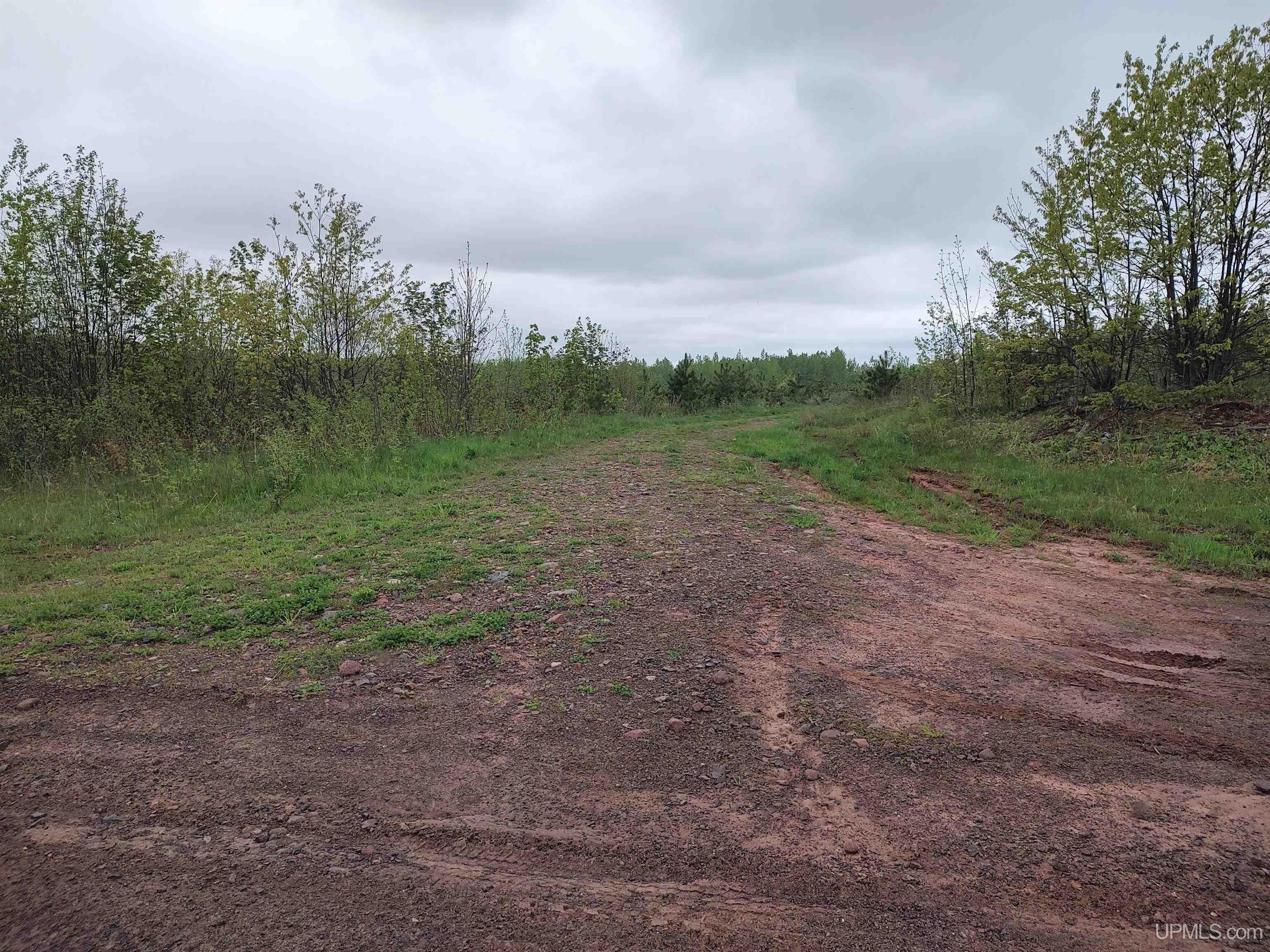 MLS 50142750 Large photo number 7 