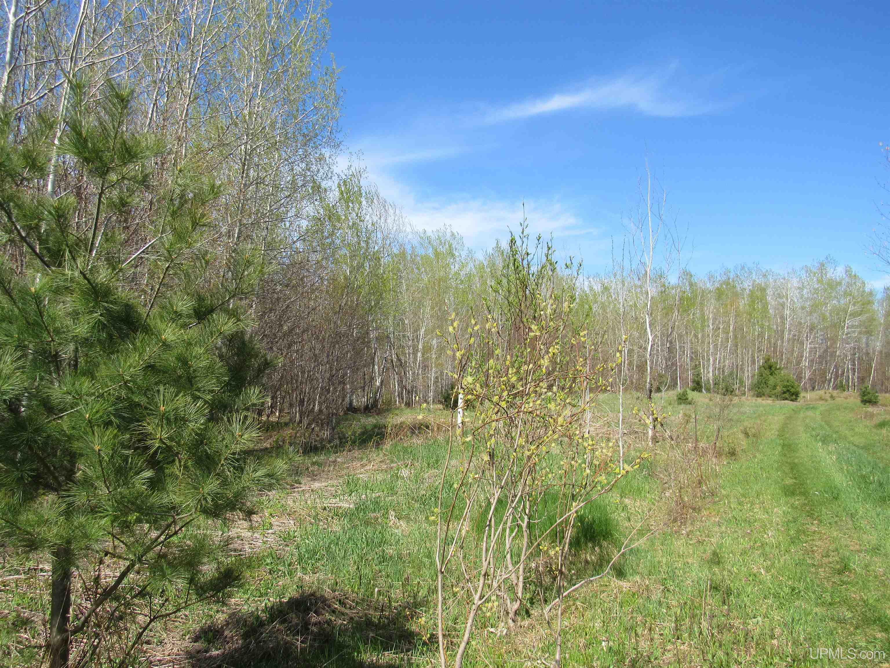 MLS 50142898 Large photo number 1 
